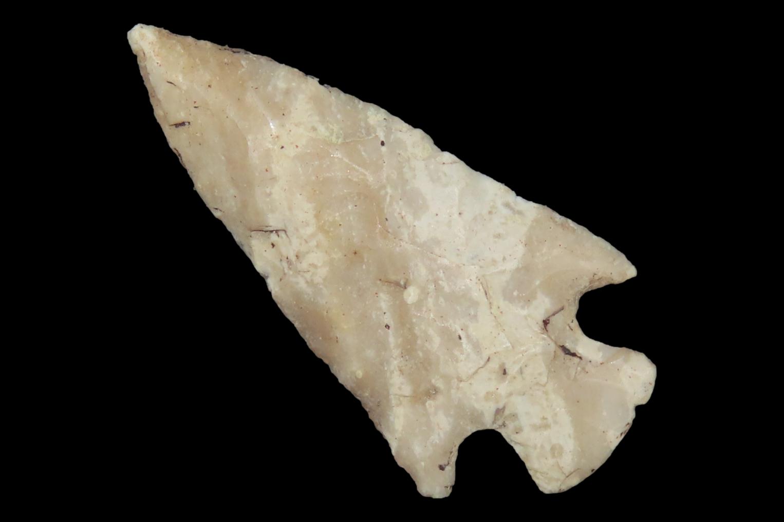 1 1/2" Bird Point, Cass Co., Illinois