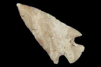 1 1/2" Bird Point, Cass Co., Illinois