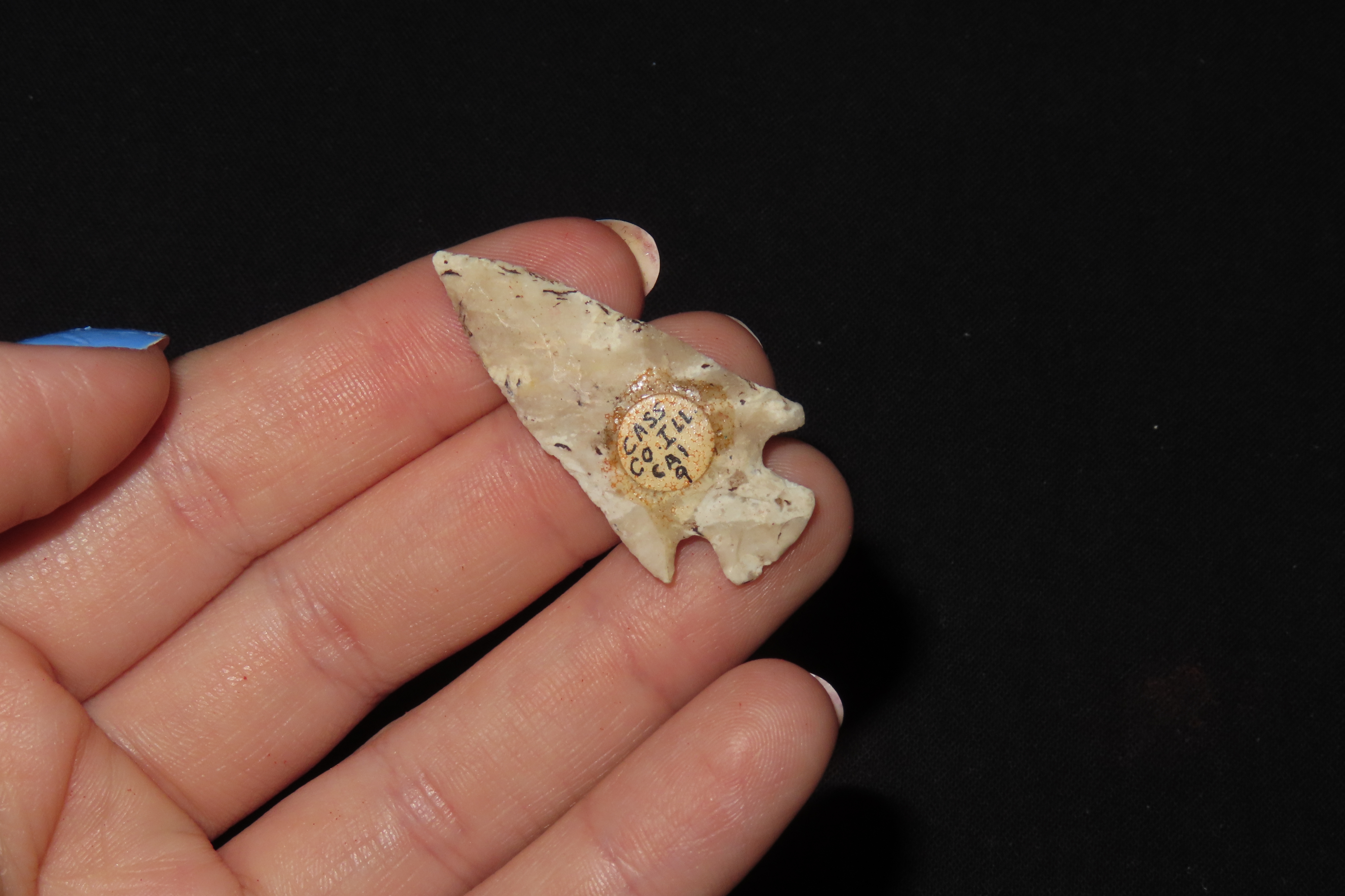 1 1/2" Bird Point, Cass Co., Illinois