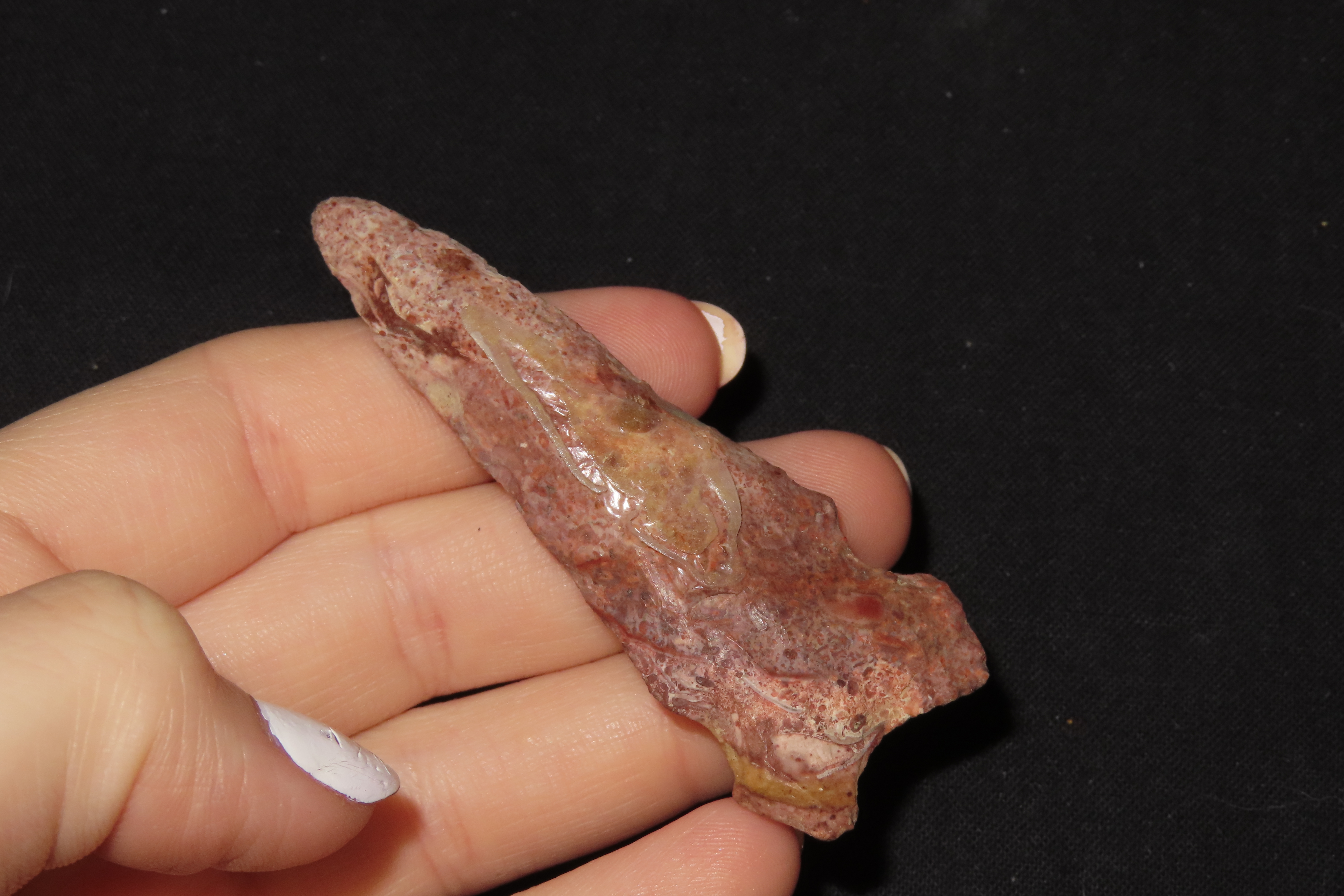 2 3/4" Graham Cave, Pike Co., Illinois