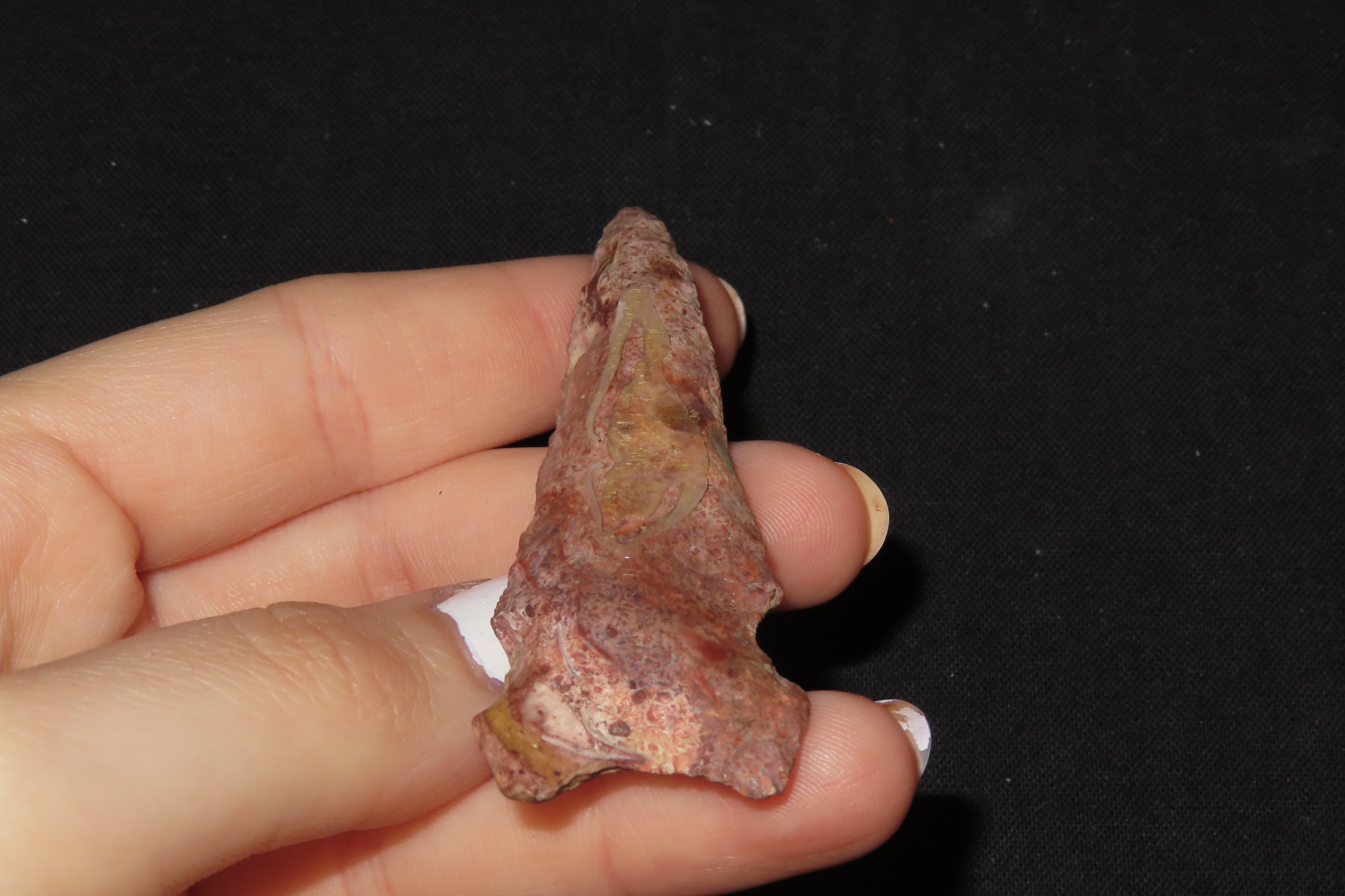 2 3/4" Graham Cave, Pike Co., Illinois