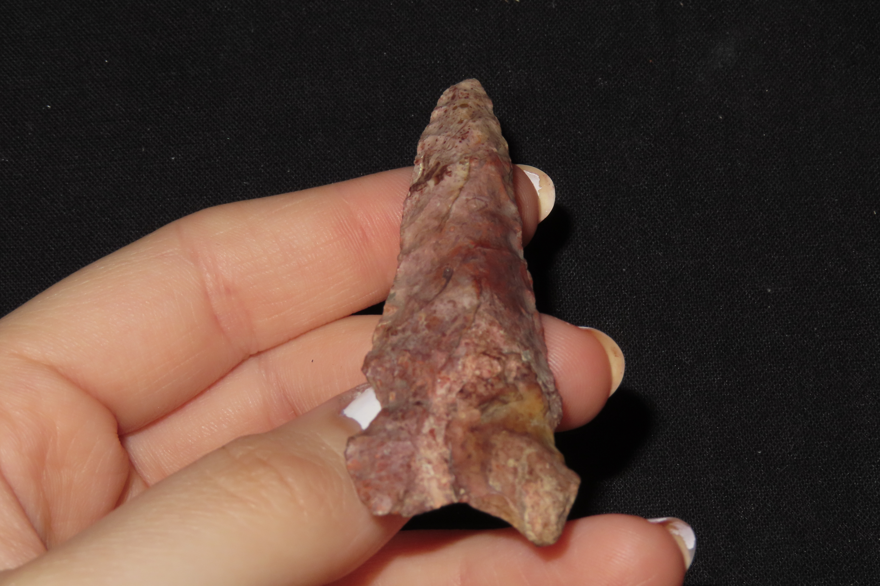 2 3/4" Graham Cave, Pike Co., Illinois