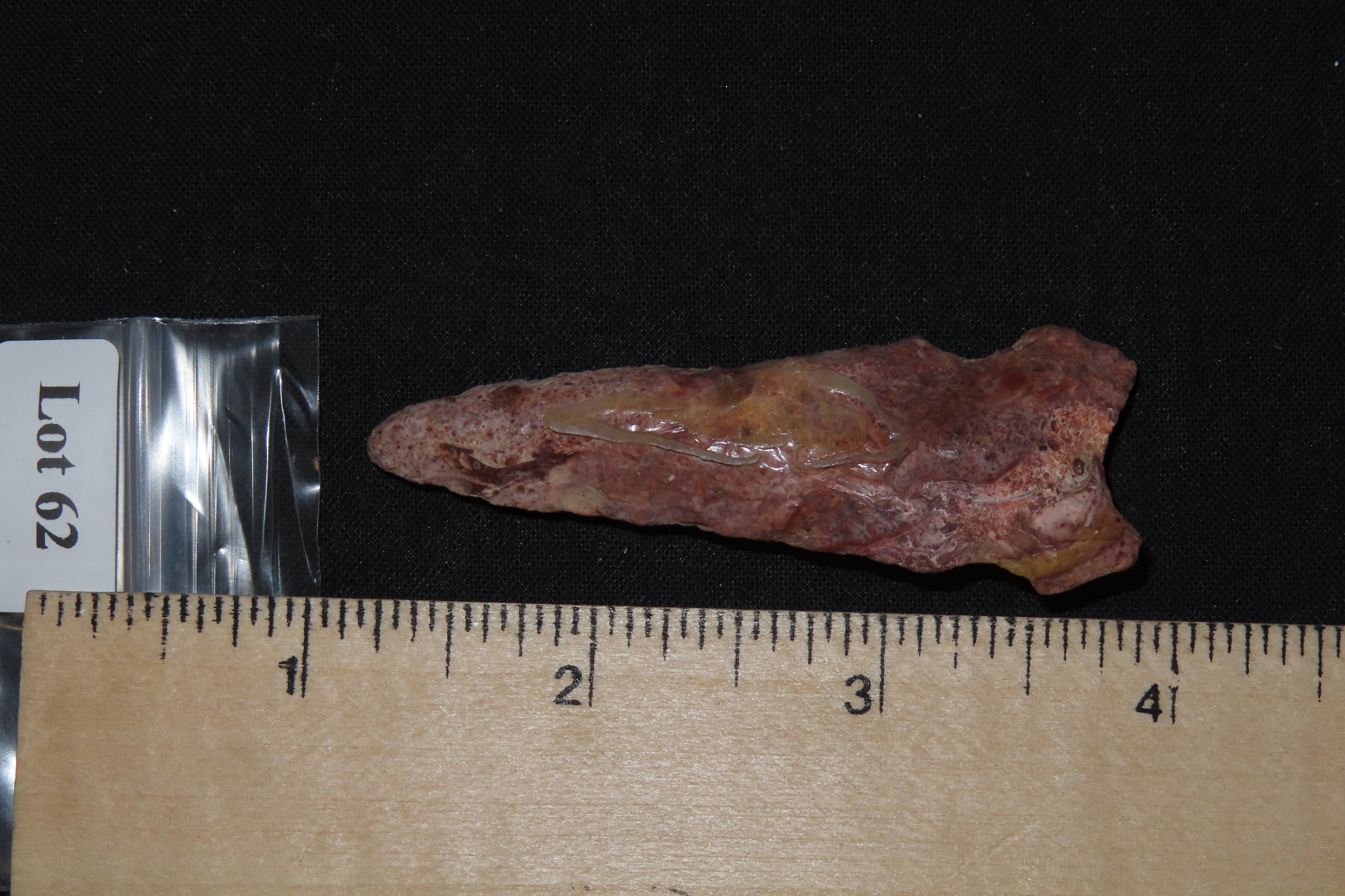 2 3/4" Graham Cave, Pike Co., Illinois
