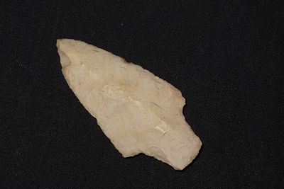 2 1/2" Dickson, Calhoun Co., Illinois