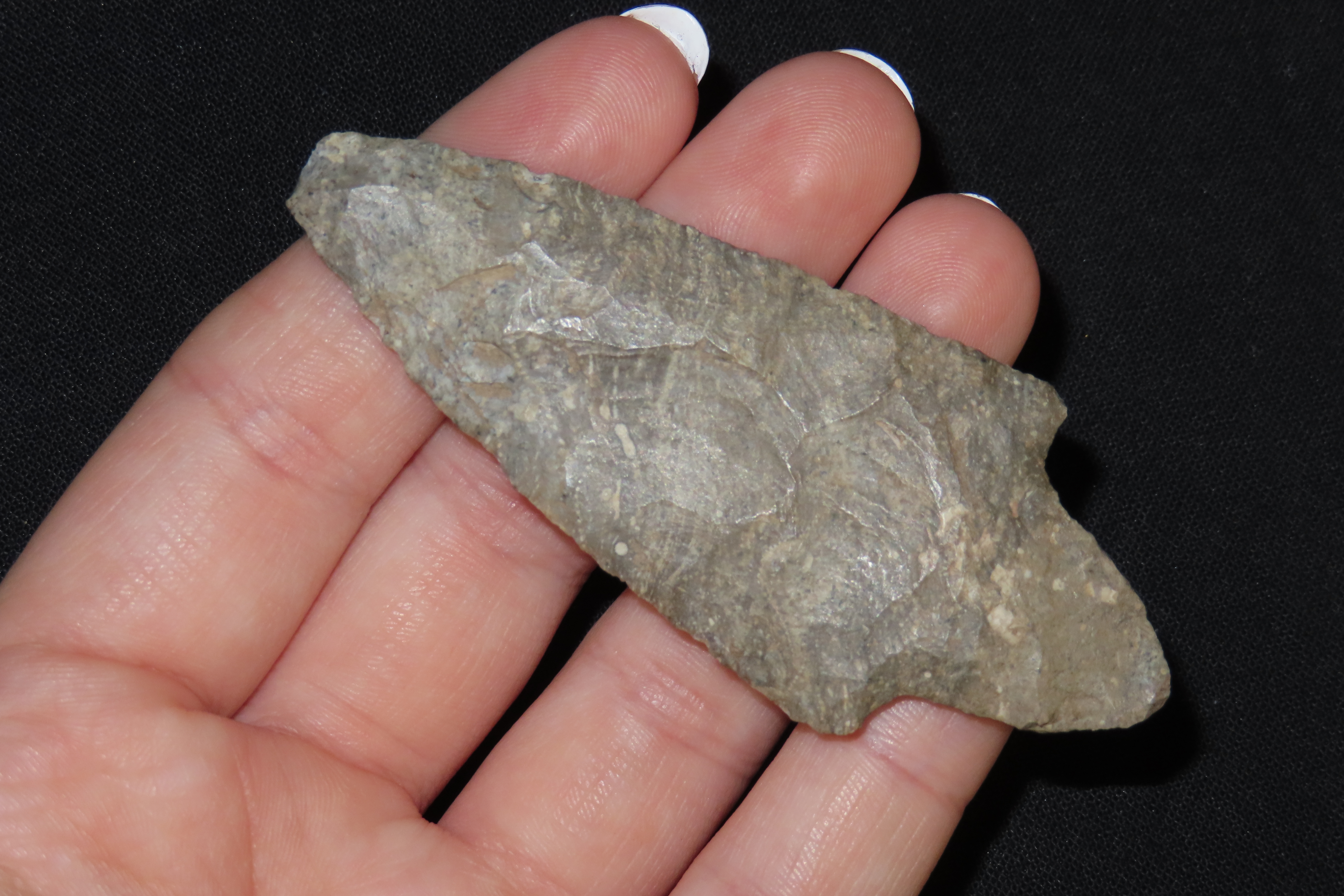 3" Adena Point, Jackson Co., Iowa