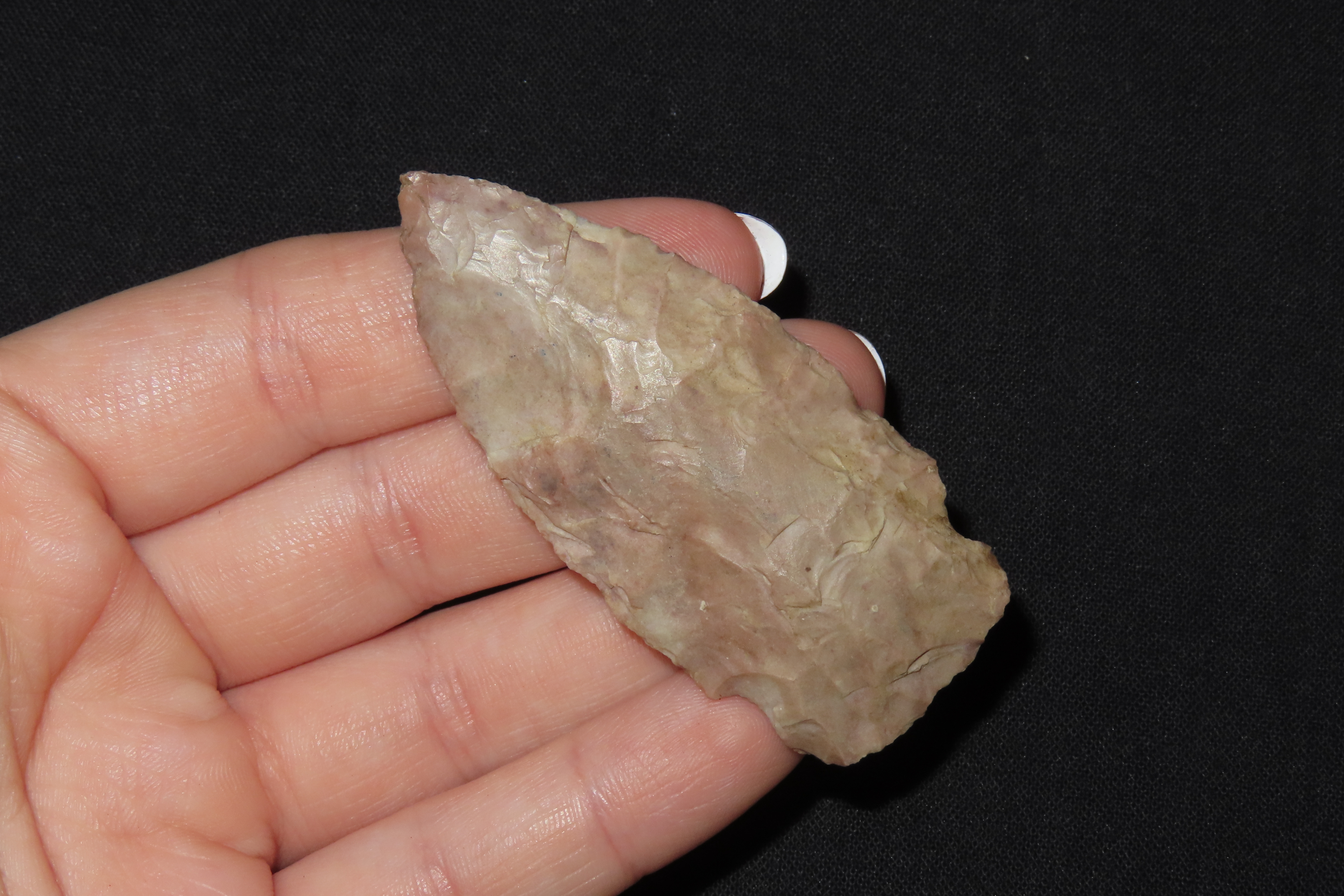 2 1/2" Side Notch Point, Found in Iowa