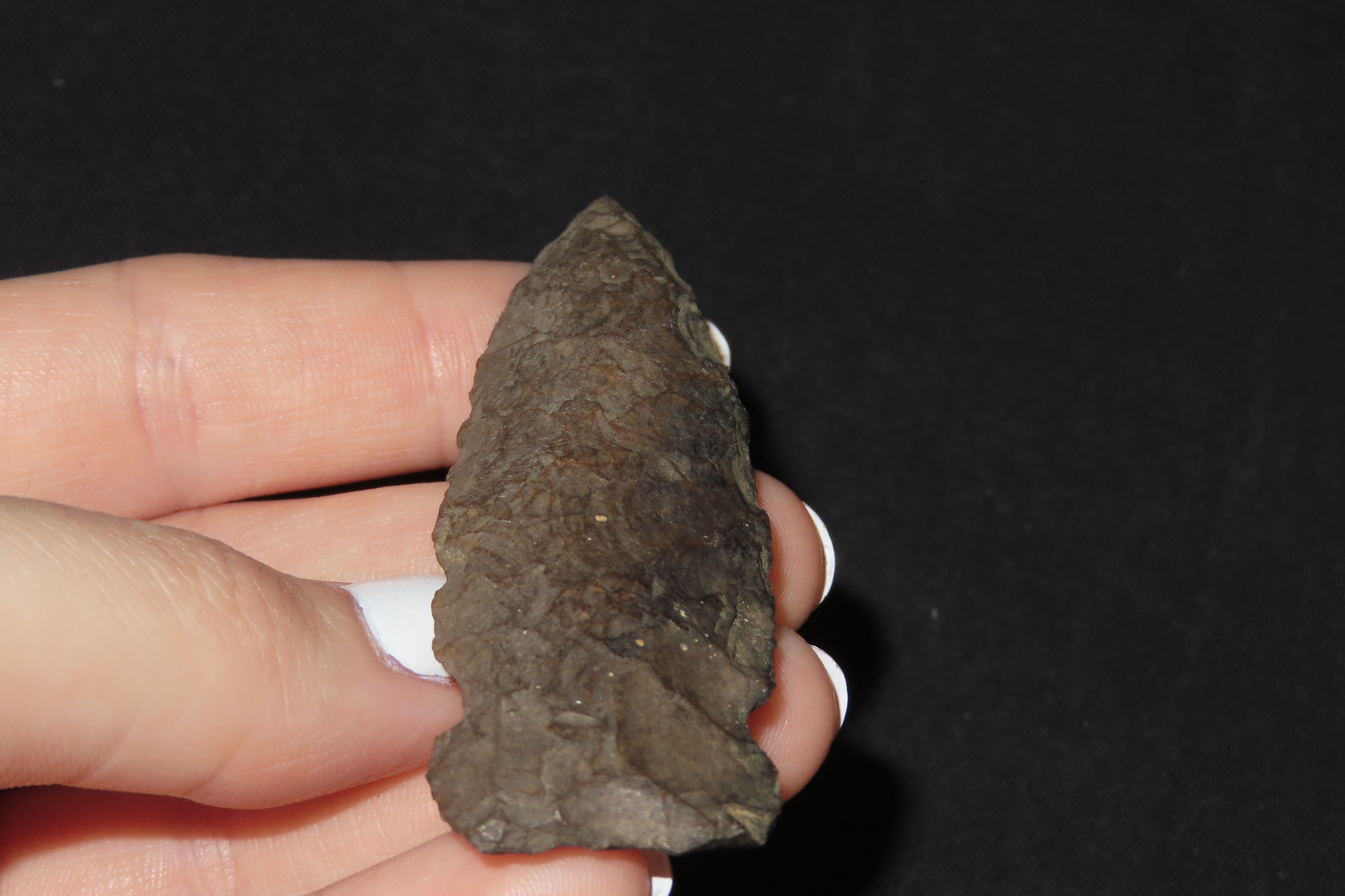 2 3/4" Side Notch Point, Iowa