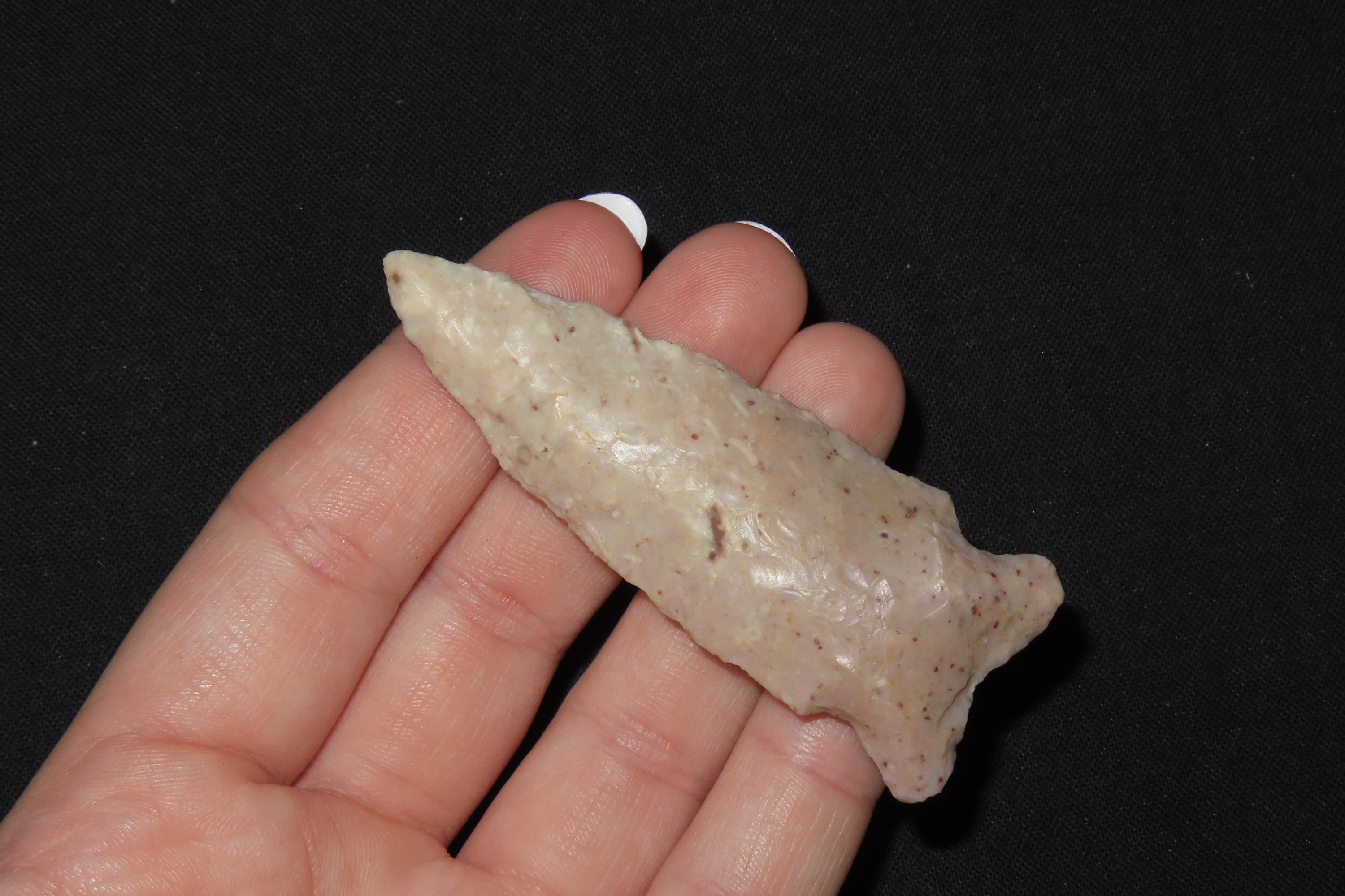 2 3/4" Robbinson Point