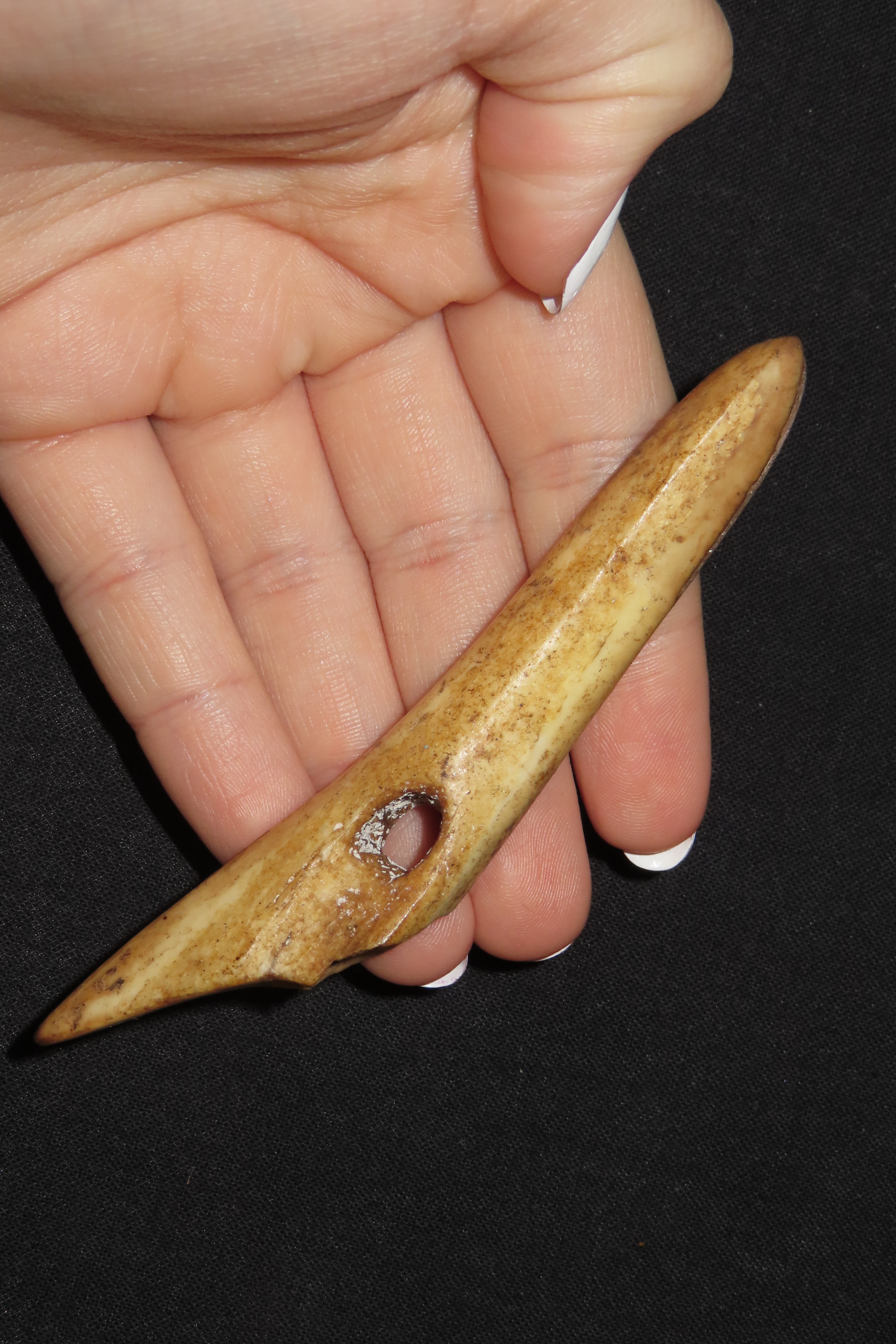 3 5/8" Eskimo Harpoon Tip, Longest Example, From Alaska