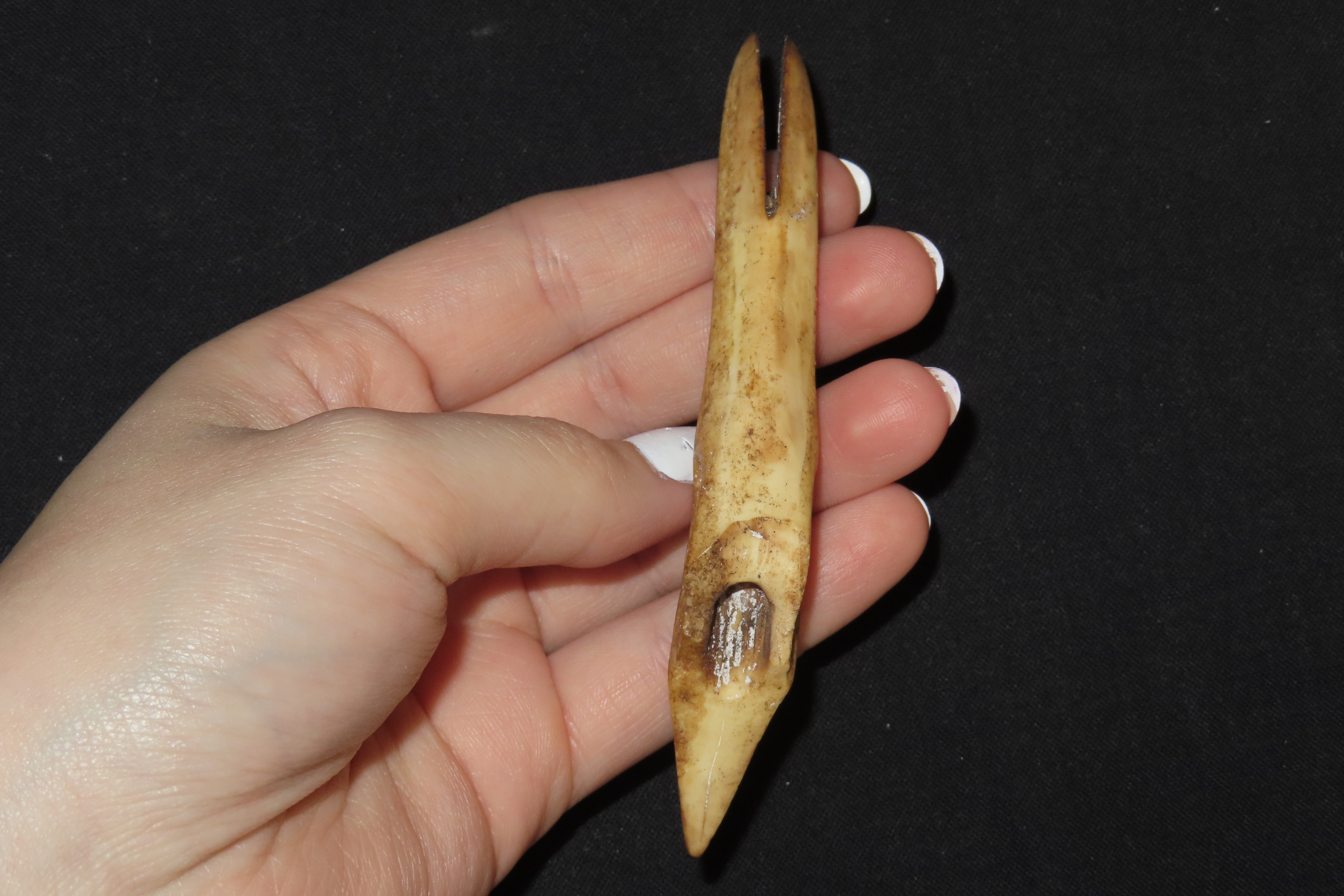 3 5/8" Eskimo Harpoon Tip, Longest Example, From Alaska
