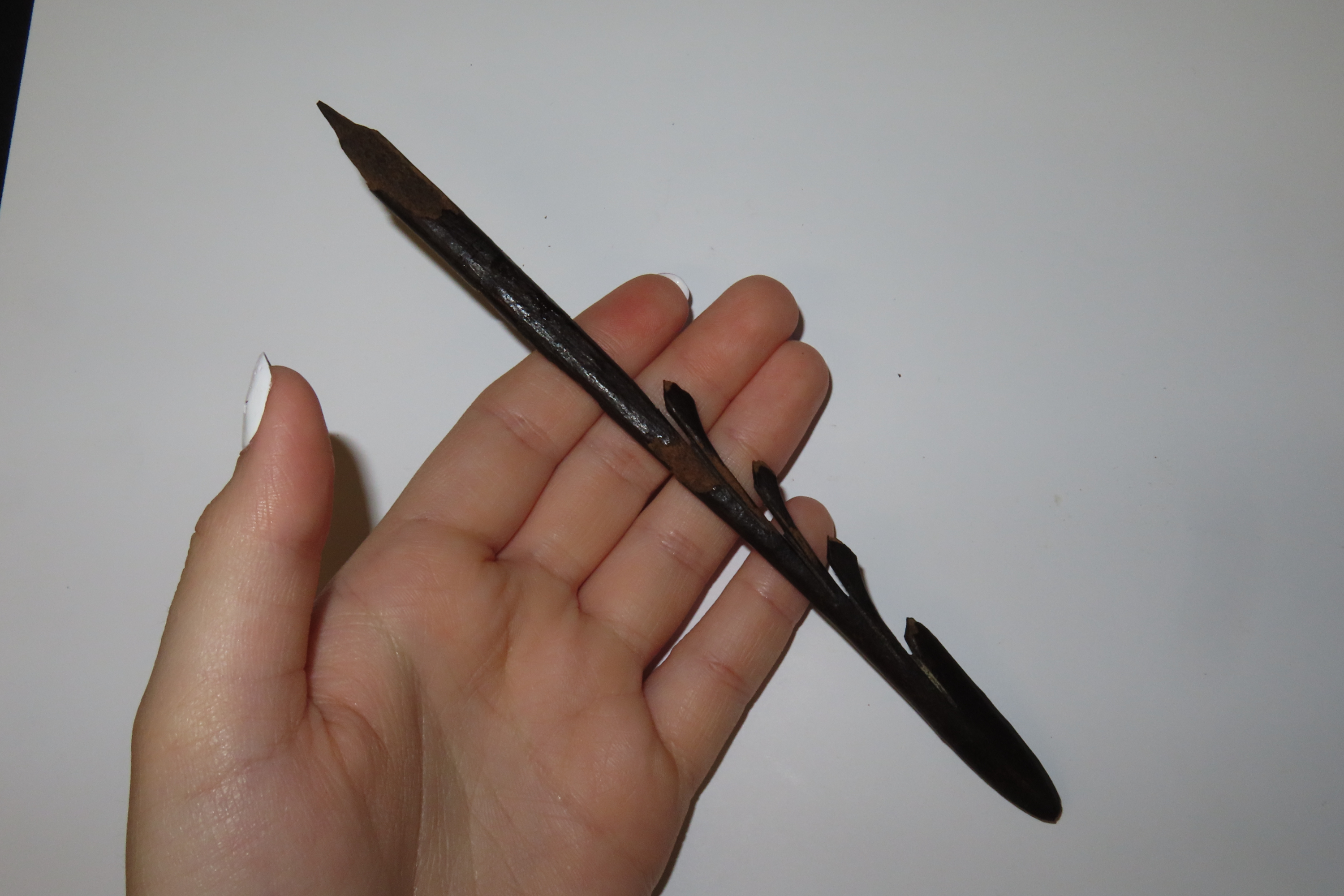 Lot of 2 Eskimo Harpoon Tips, Longest 7 1/8", Bering Strait, Alaska