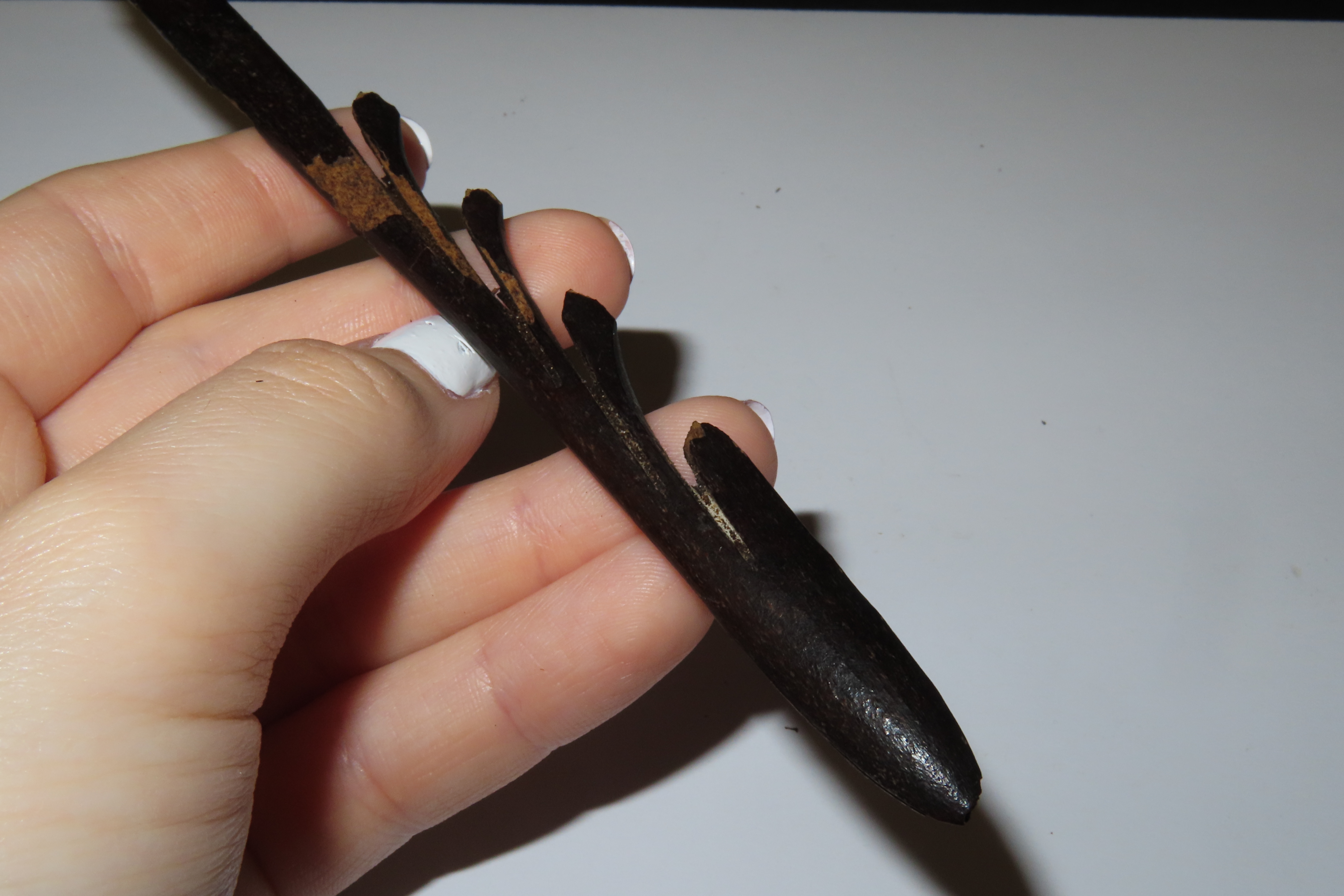Lot of 2 Eskimo Harpoon Tips, Longest 7 1/8", Bering Strait, Alaska