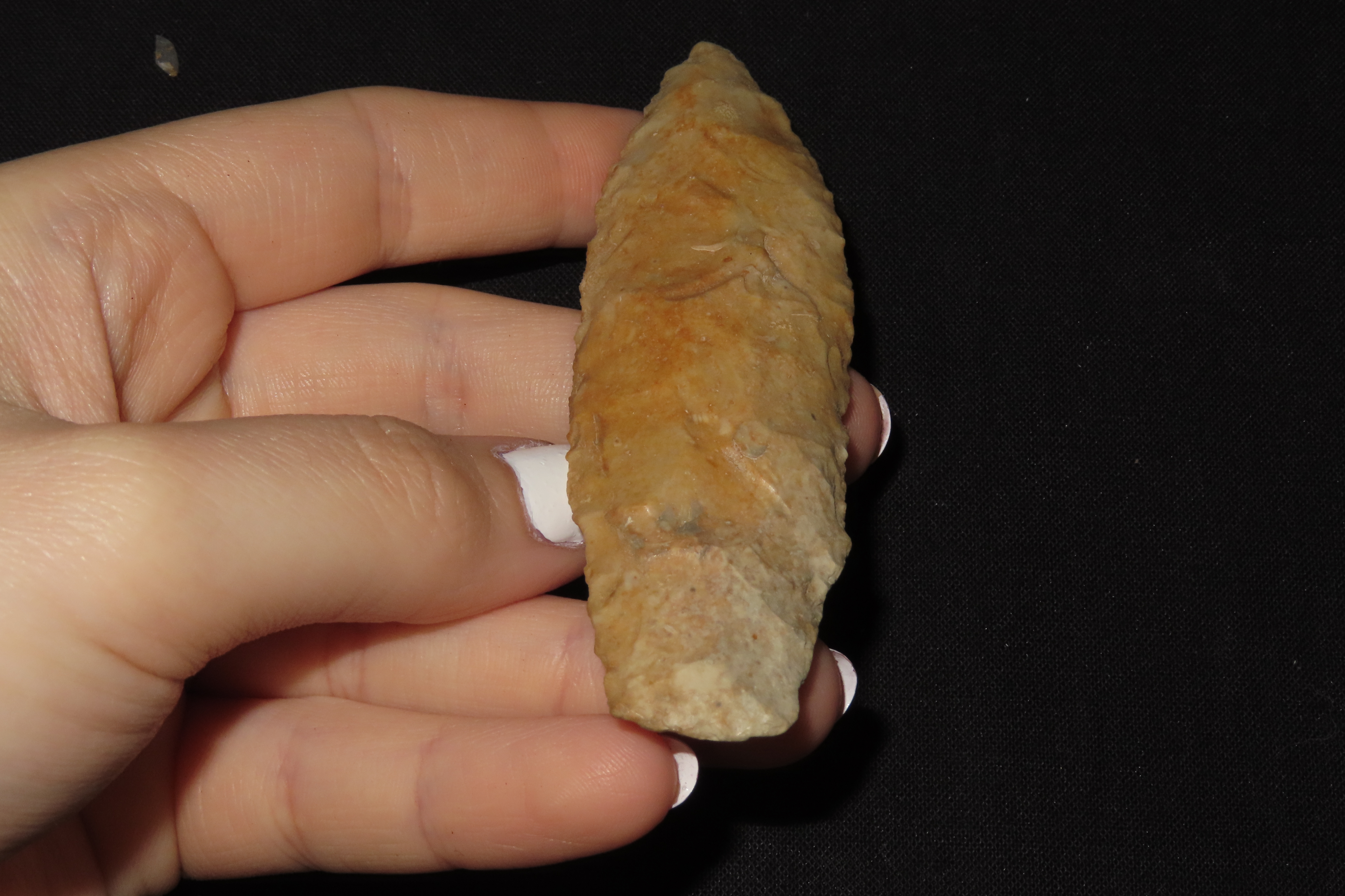 3 7/8" Lanceolate Point, Creek Stained, Found in Iowa