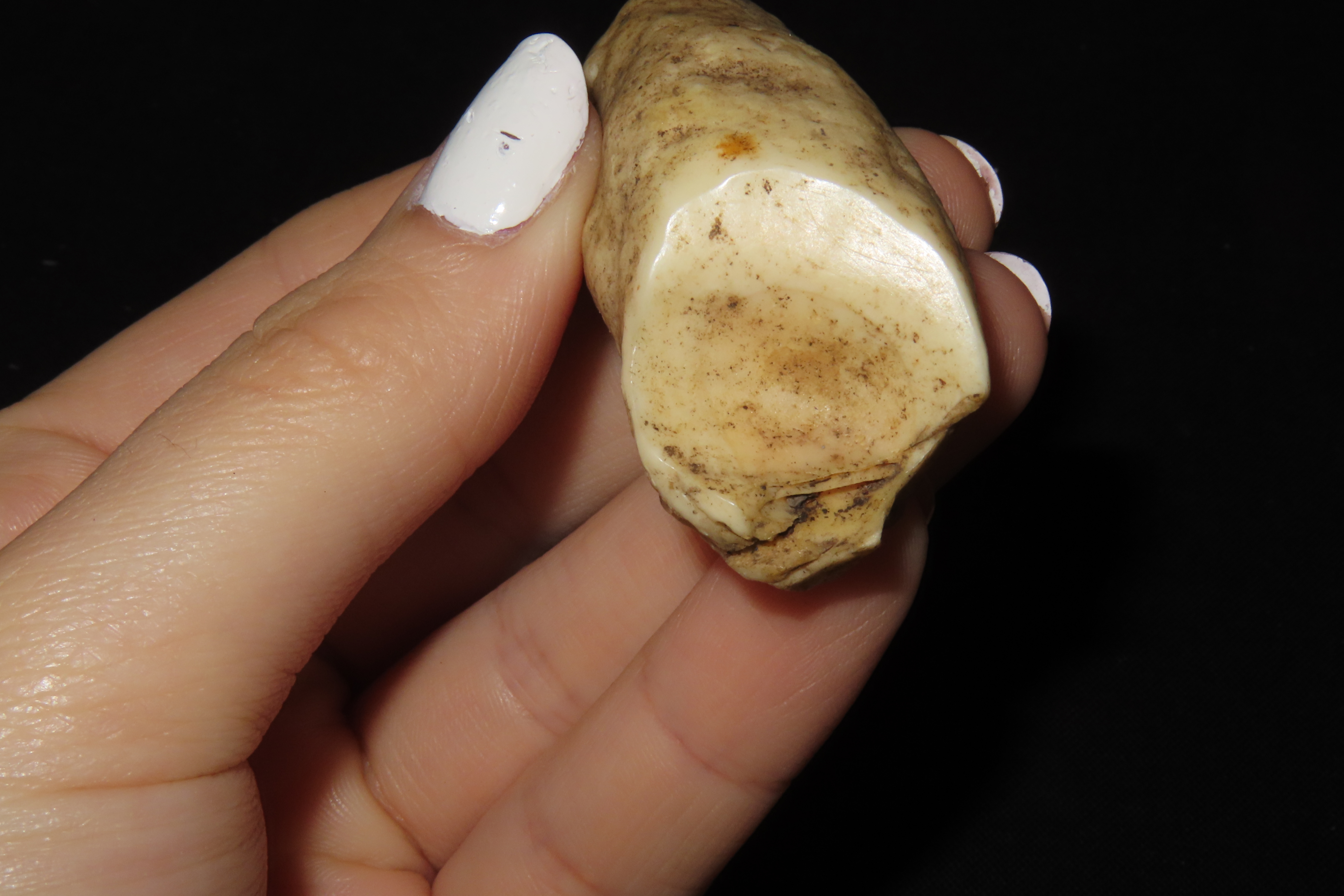 Lot of 2 Eskimo Whale Plugs, Alaska