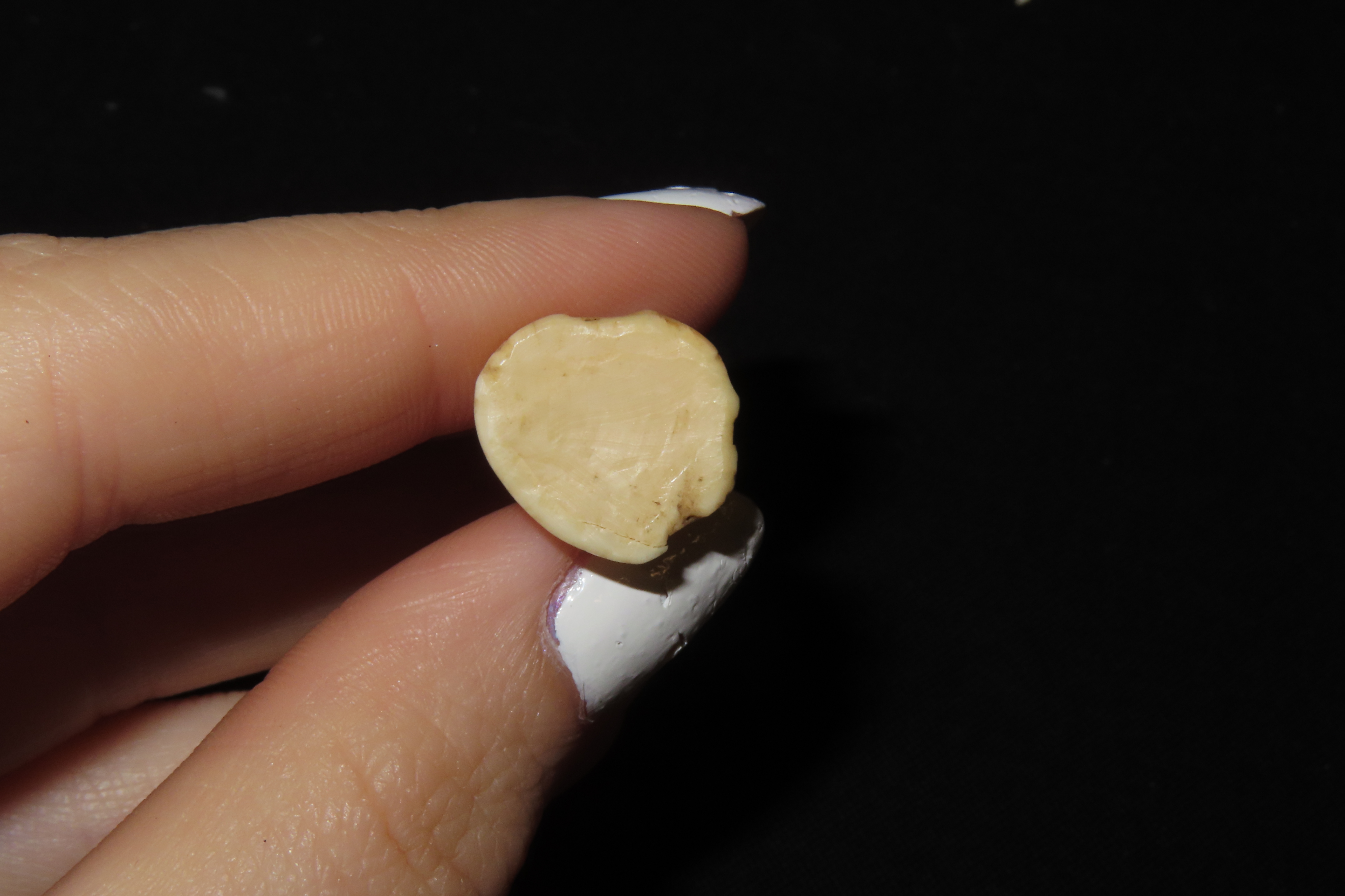 Lot of 2 Eskimo Whale Plugs, Alaska