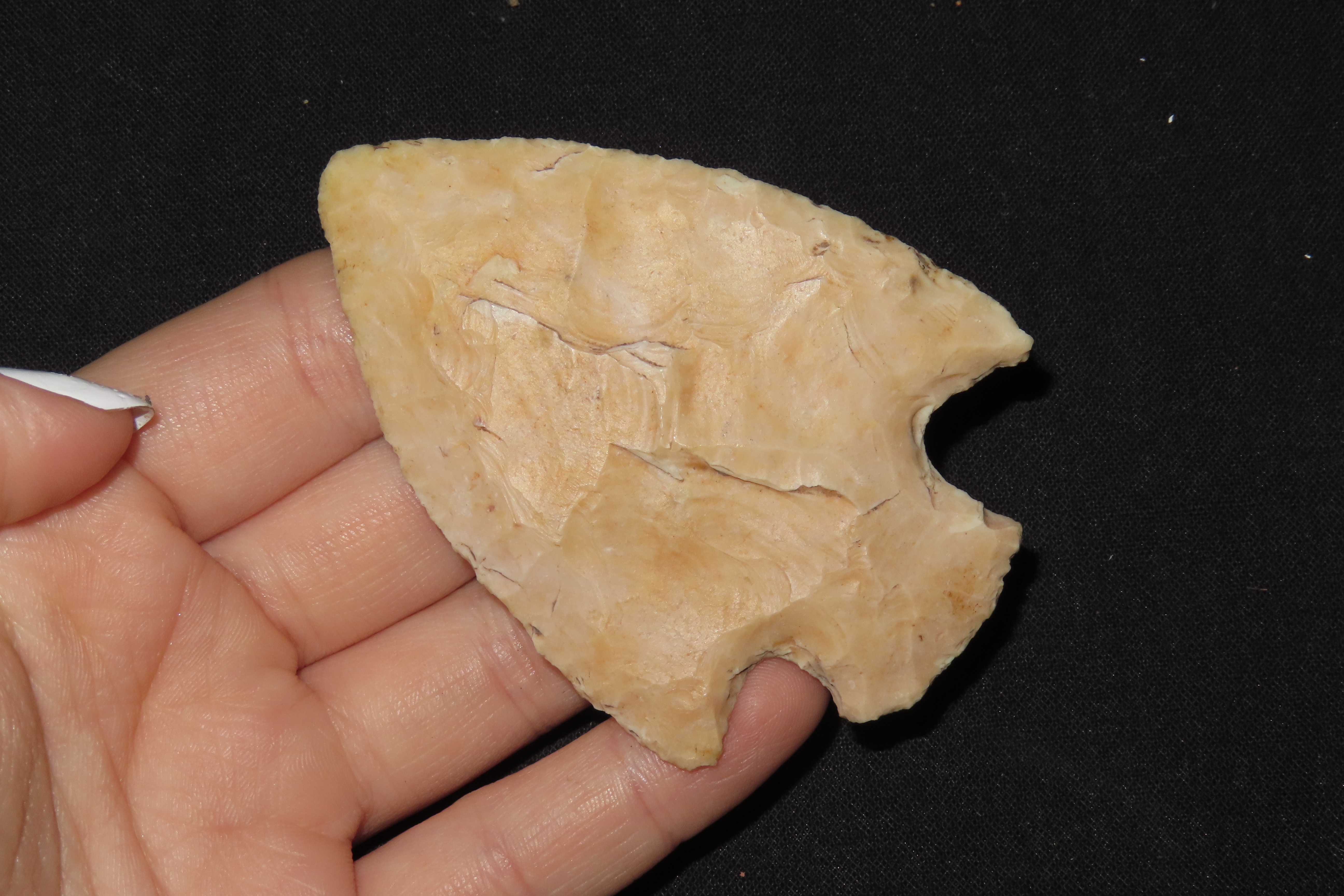 3" Snyder Point, Scott Co., Iowa