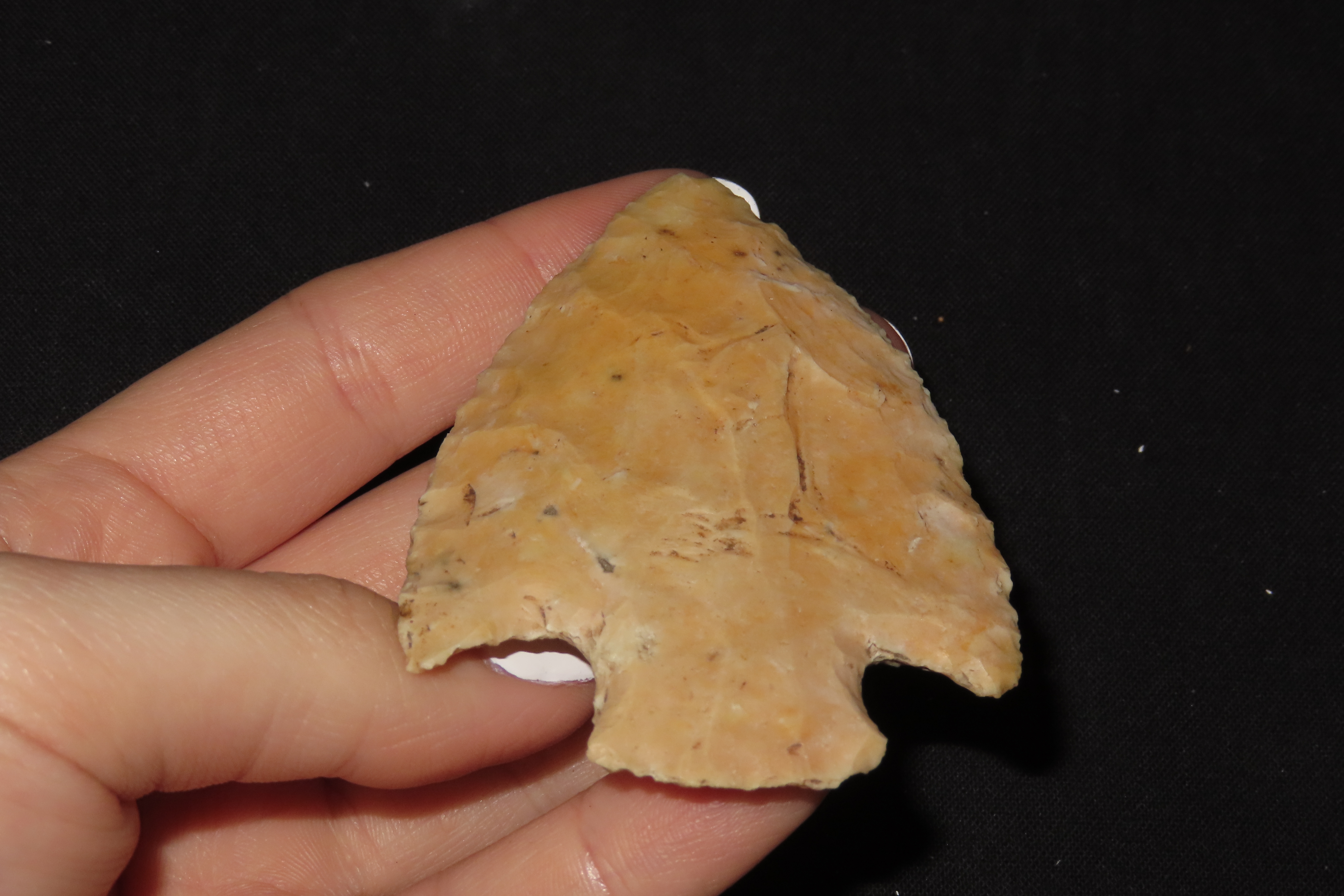 3" Snyder Point, Scott Co., Iowa