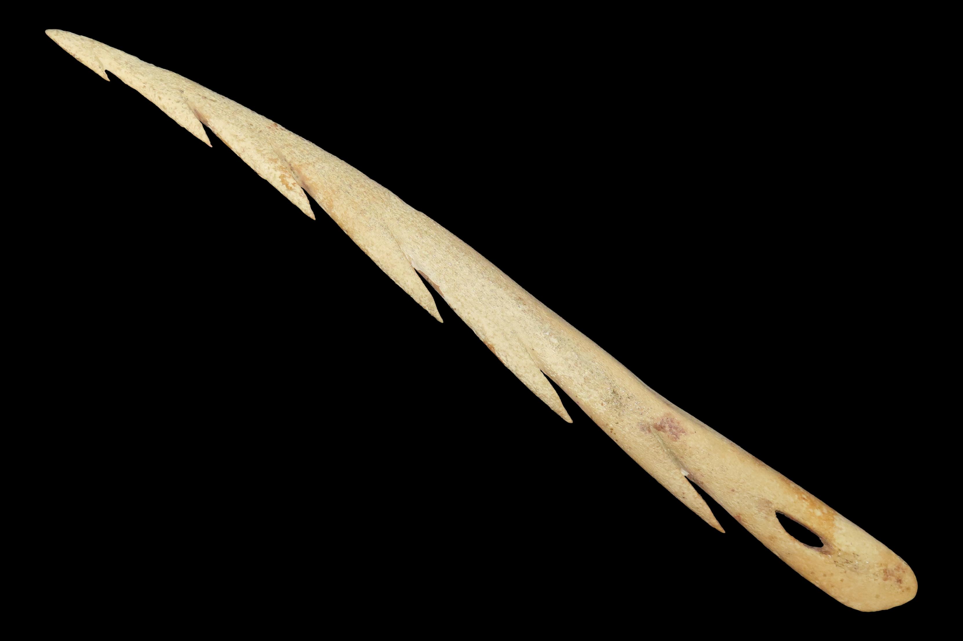 12.5" Large Harpoon Spear Head, Eskimo, Alaska