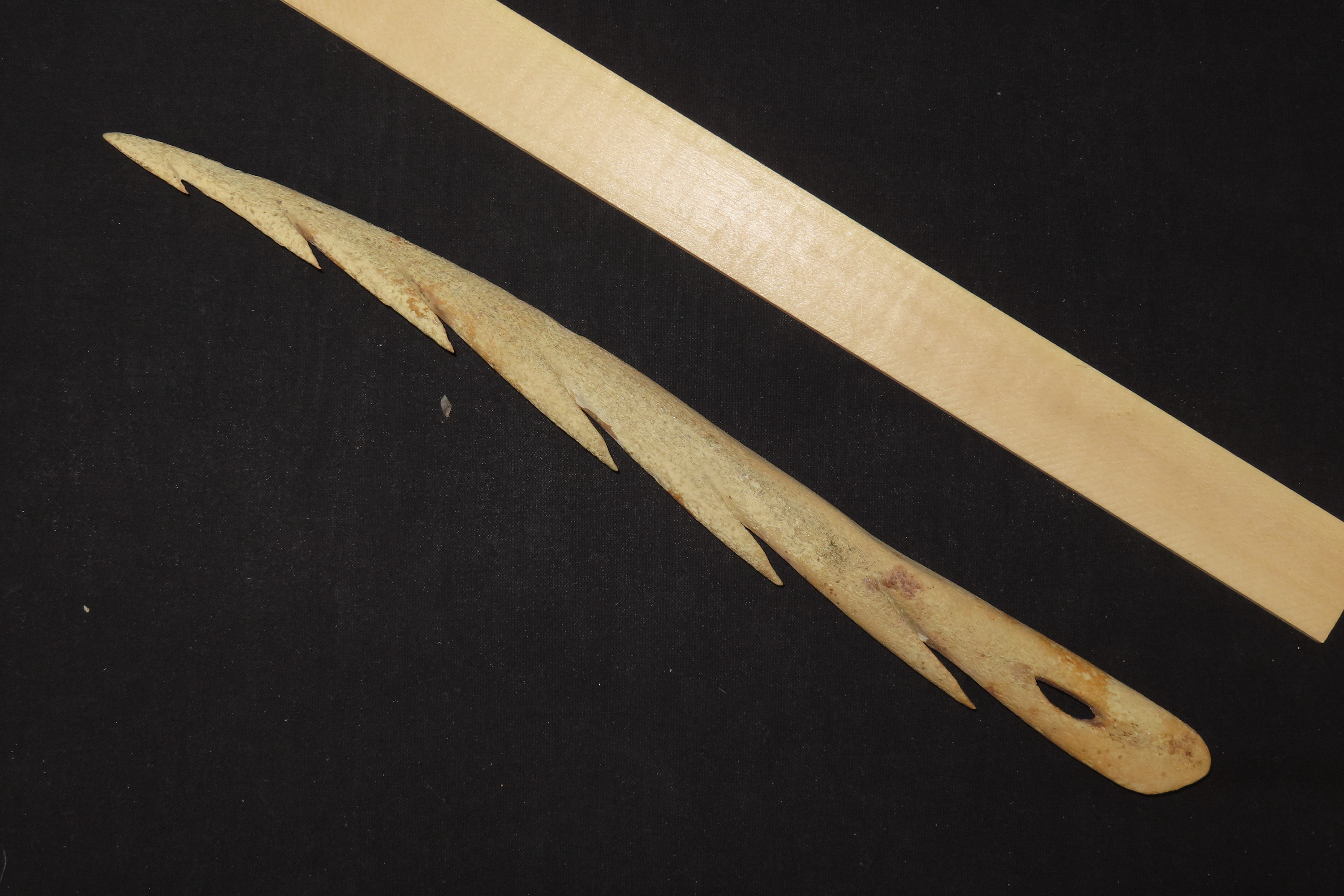 12.5" Large Harpoon Spear Head, Eskimo, Alaska
