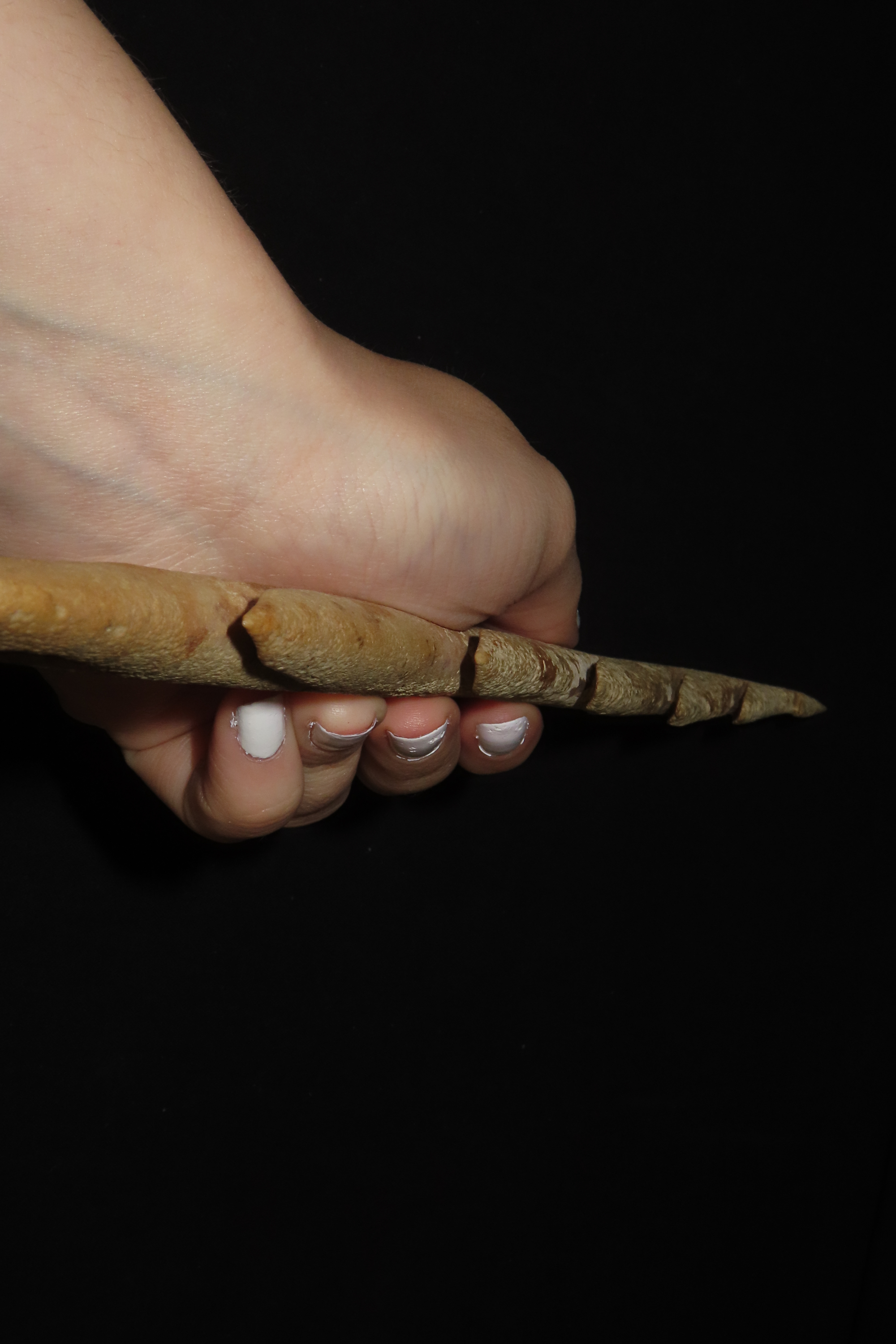 12.5" Large Harpoon Spear Head, Eskimo, Alaska