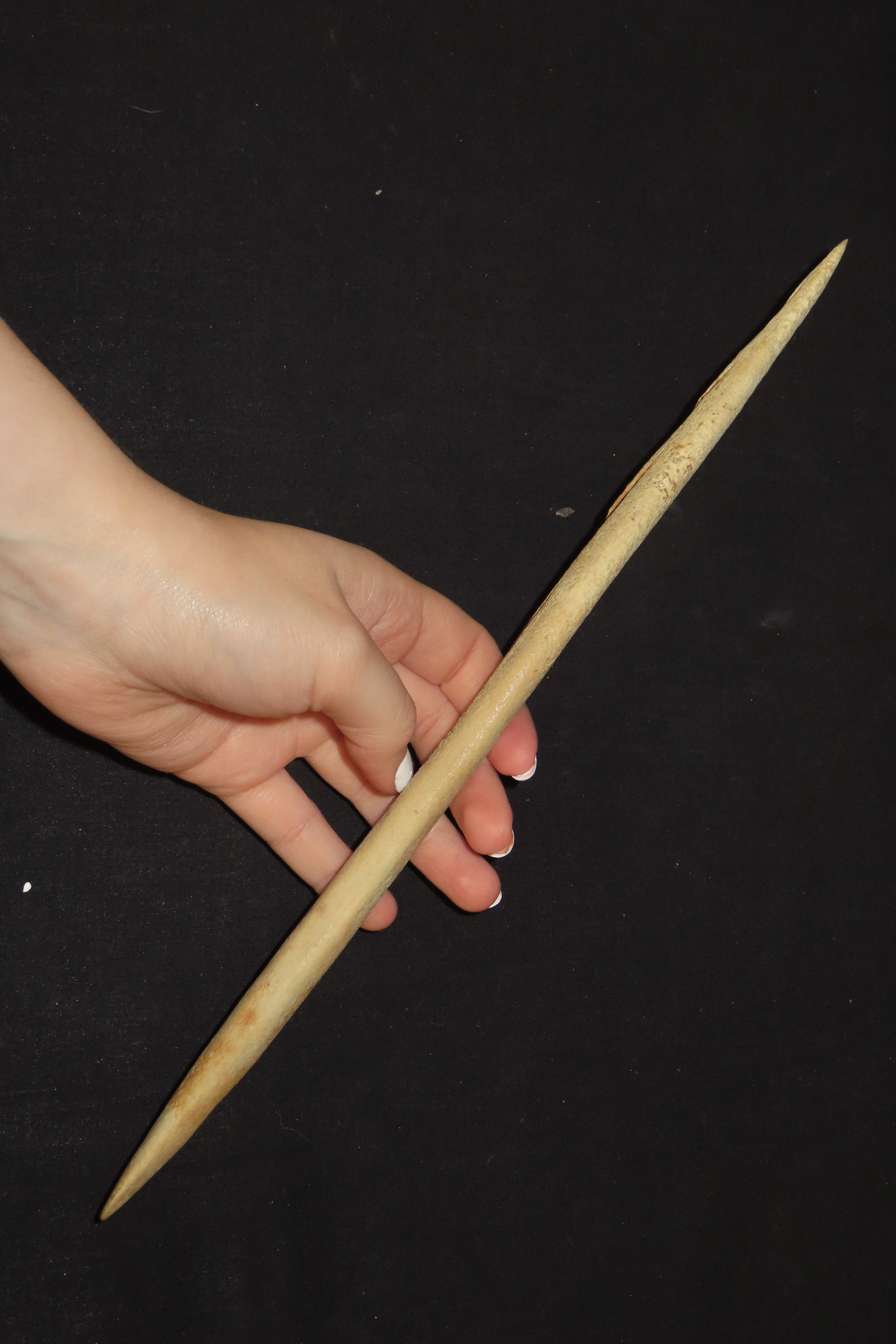 12.5" Large Harpoon Spear Head, Eskimo, Alaska