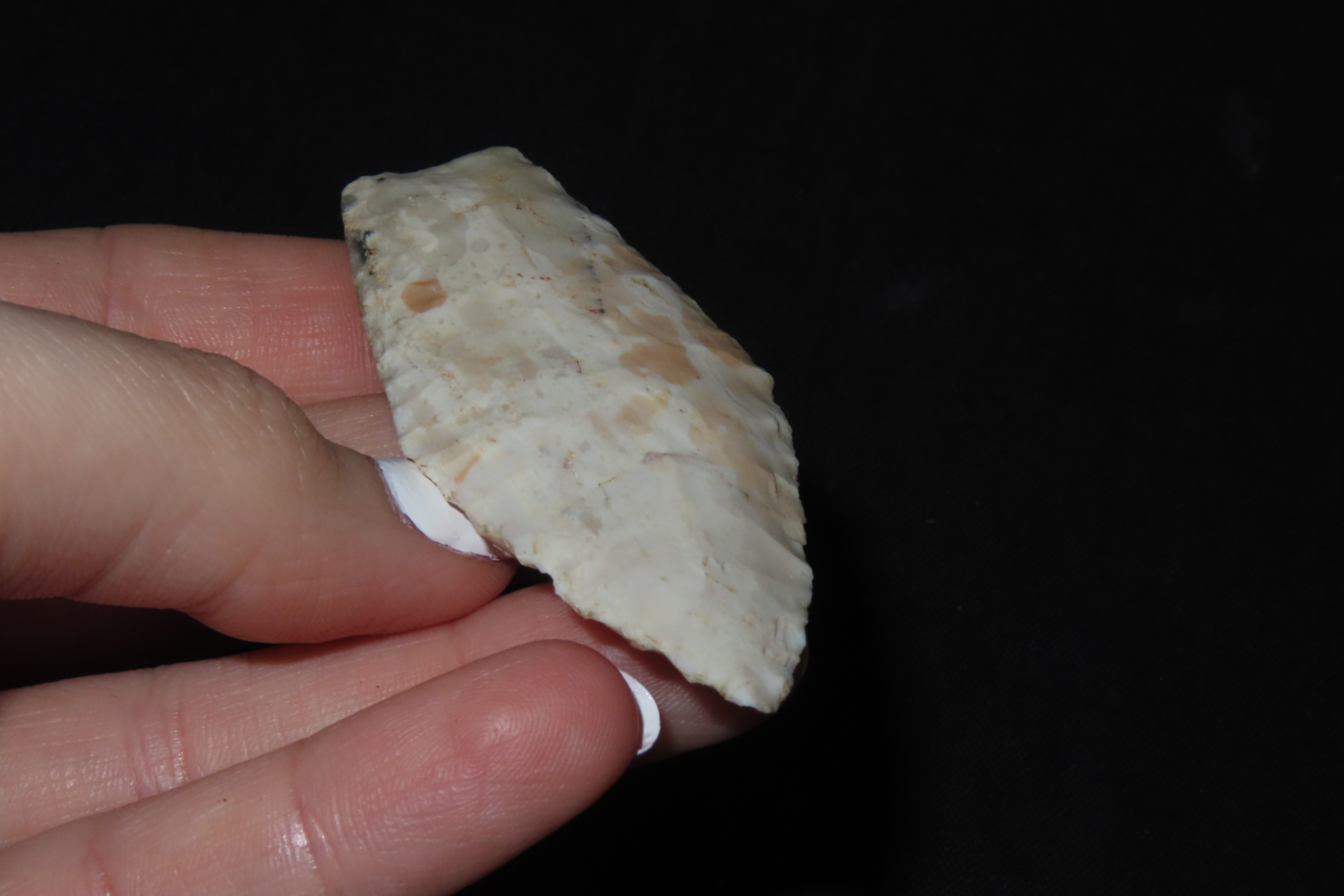 2 1/2" Hell Gap, Motley COA, Chouteau Chert, North Central Missouri