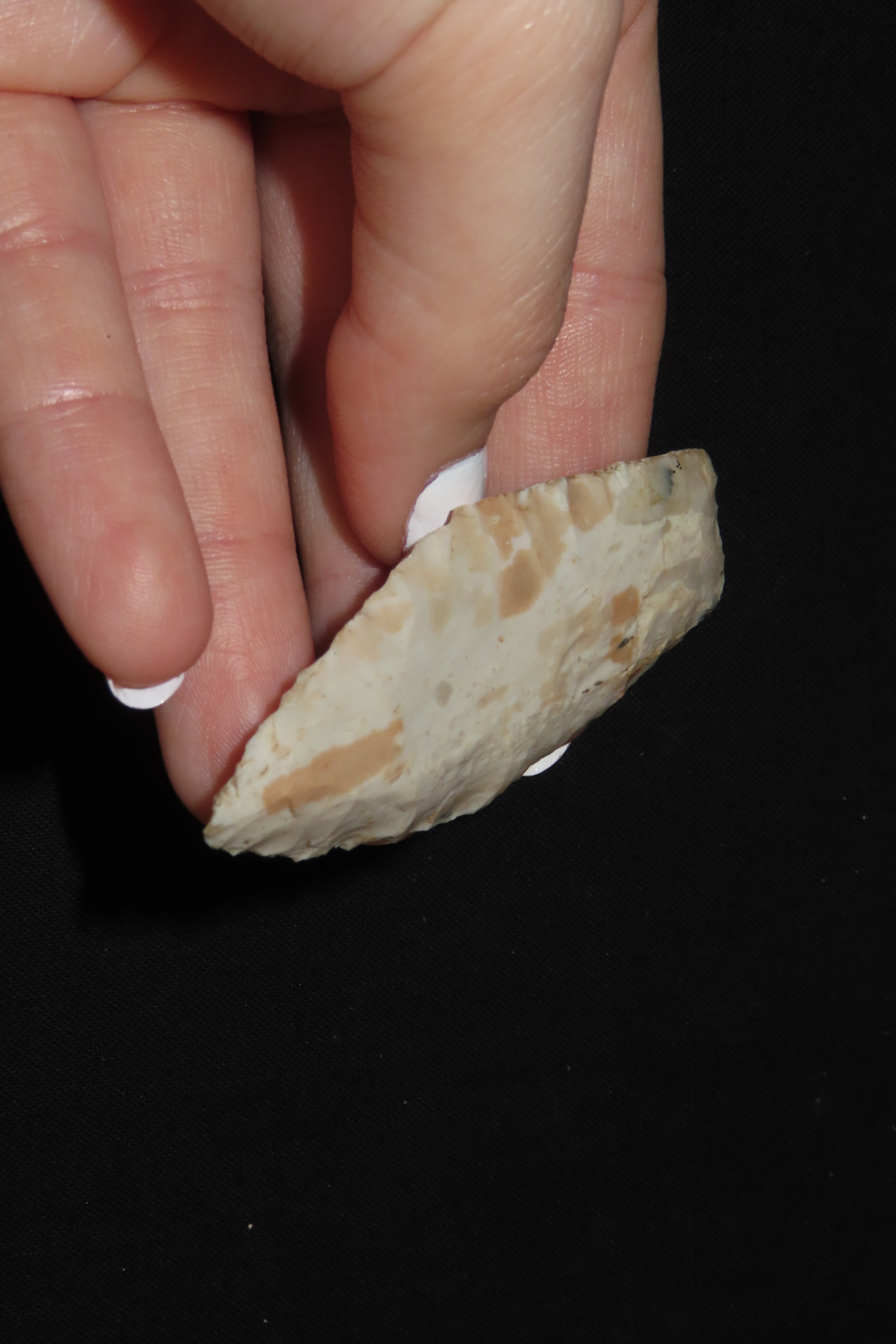 2 1/2" Hell Gap, Motley COA, Chouteau Chert, North Central Missouri