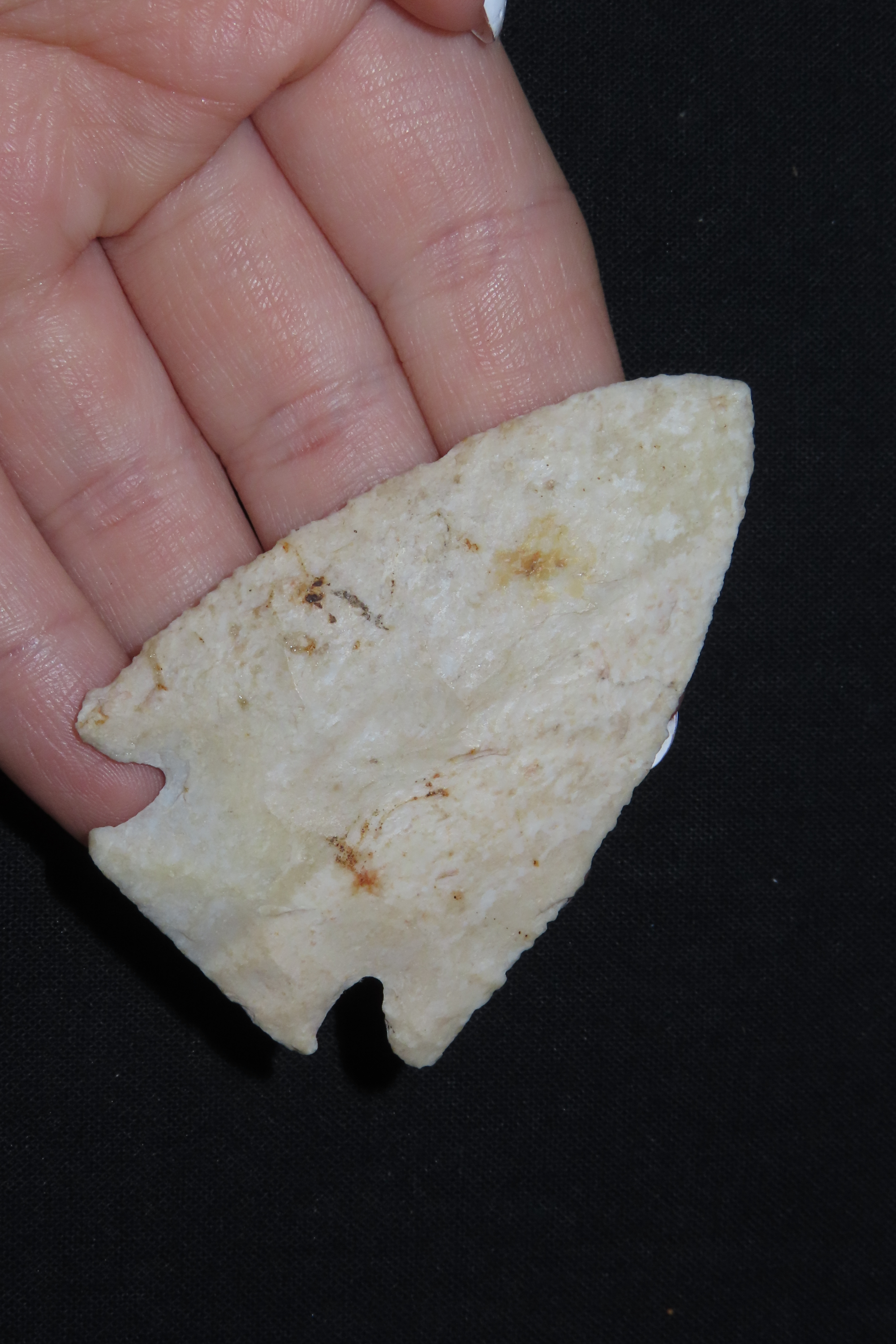 2 1/2" Hardin, Motley COA, Burlington Chert, Pike Co., Missouri