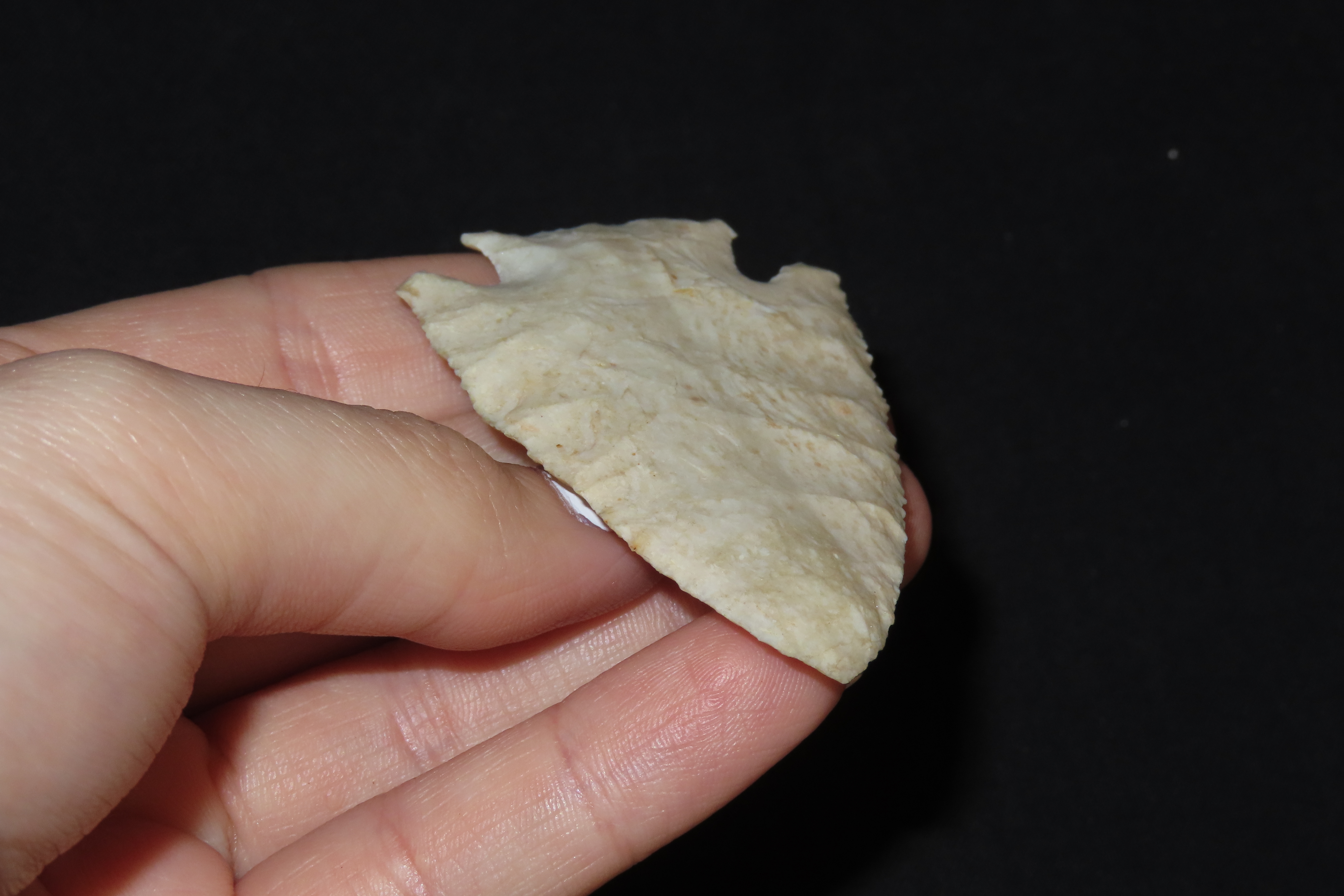 2 1/2" Hardin, Motley COA, Burlington Chert, Pike Co., Missouri