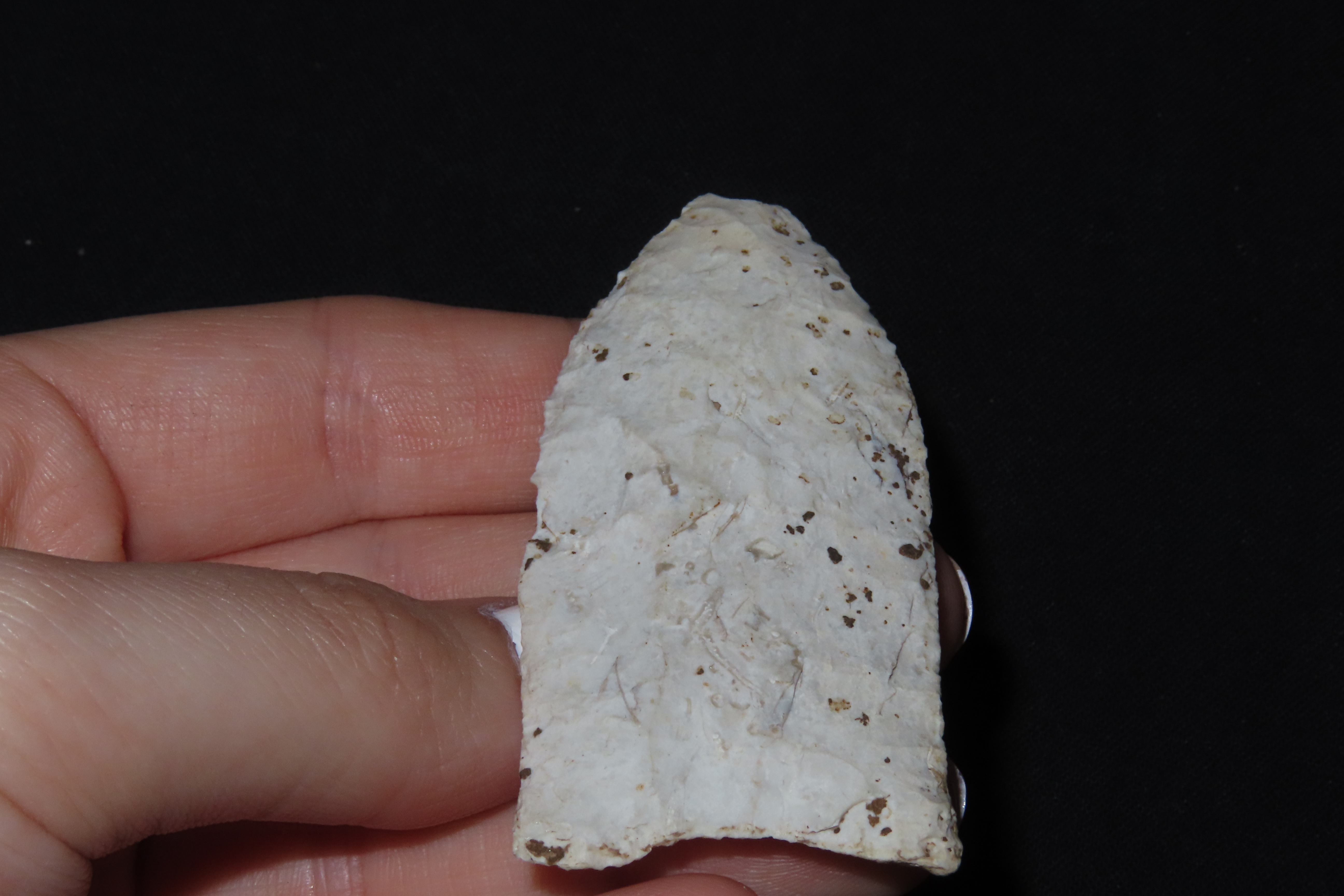 2 5/8" Holland Dalton, Motley COA, Boone Co., Missouri