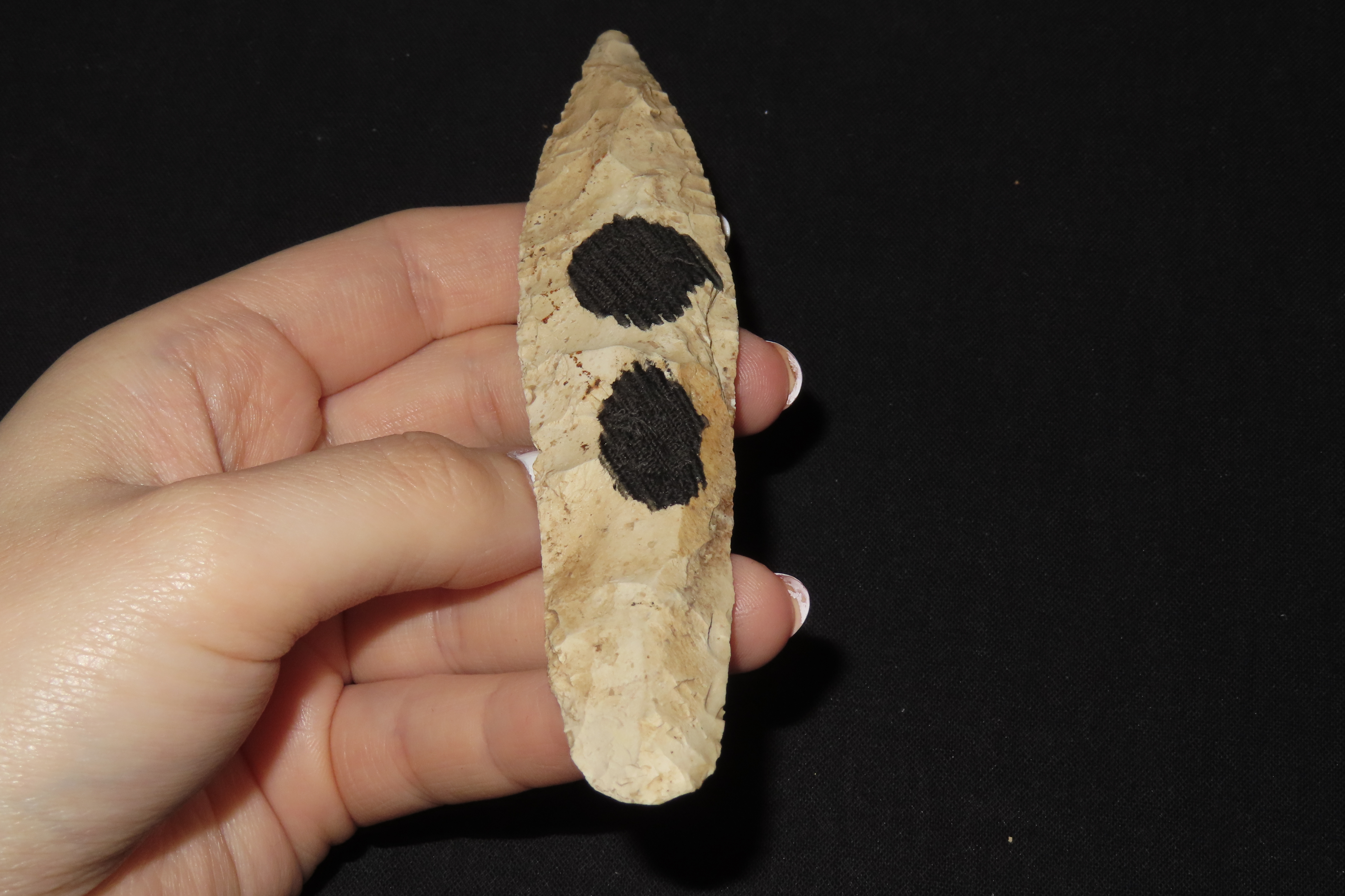 5 1/4" Sedalia, Motley COA, Saline Co., Missouri