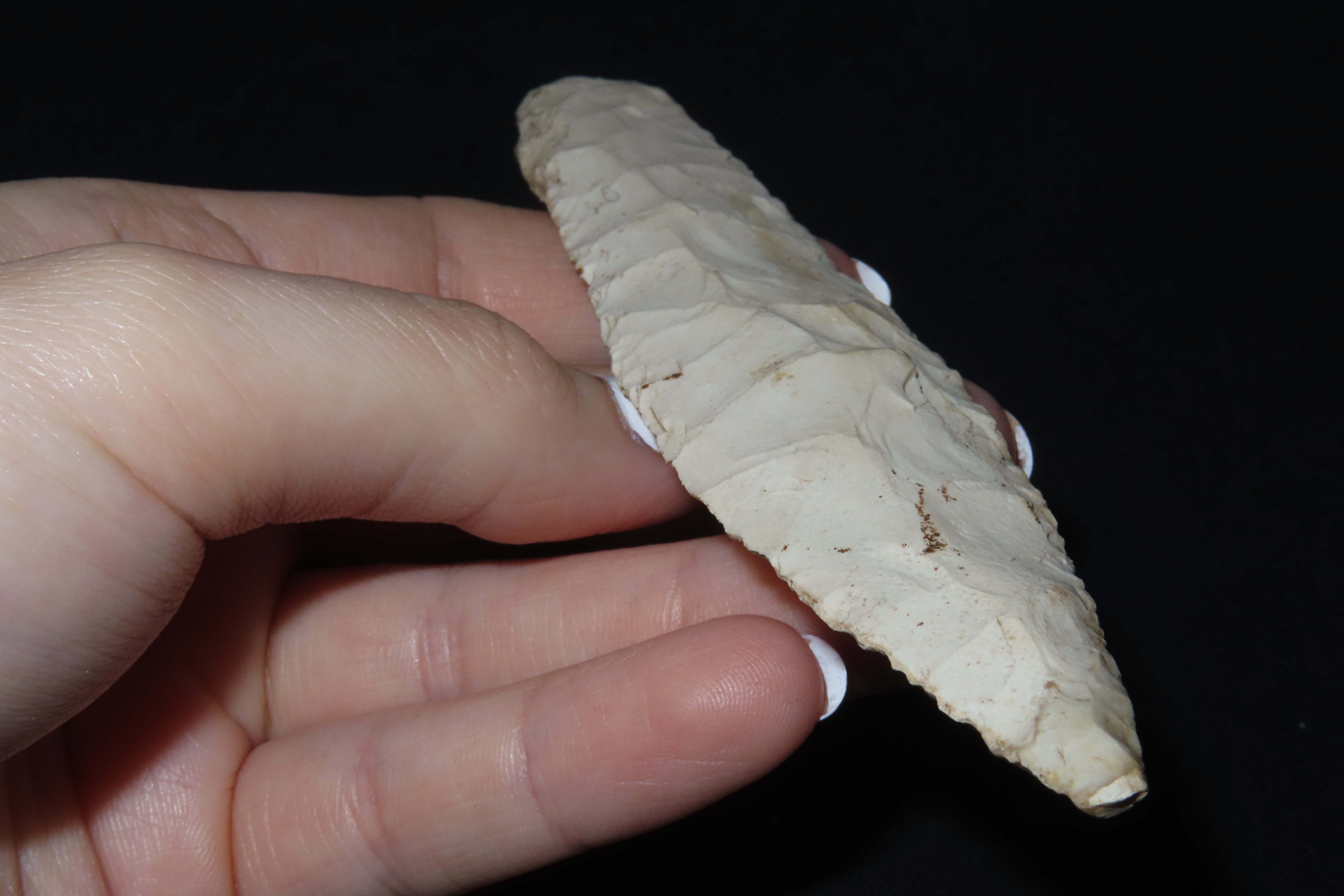 5 1/4" Sedalia, Motley COA, Saline Co., Missouri