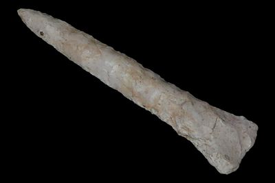 3 1/16" Drill, Motley COA, Boone Co., Missouri