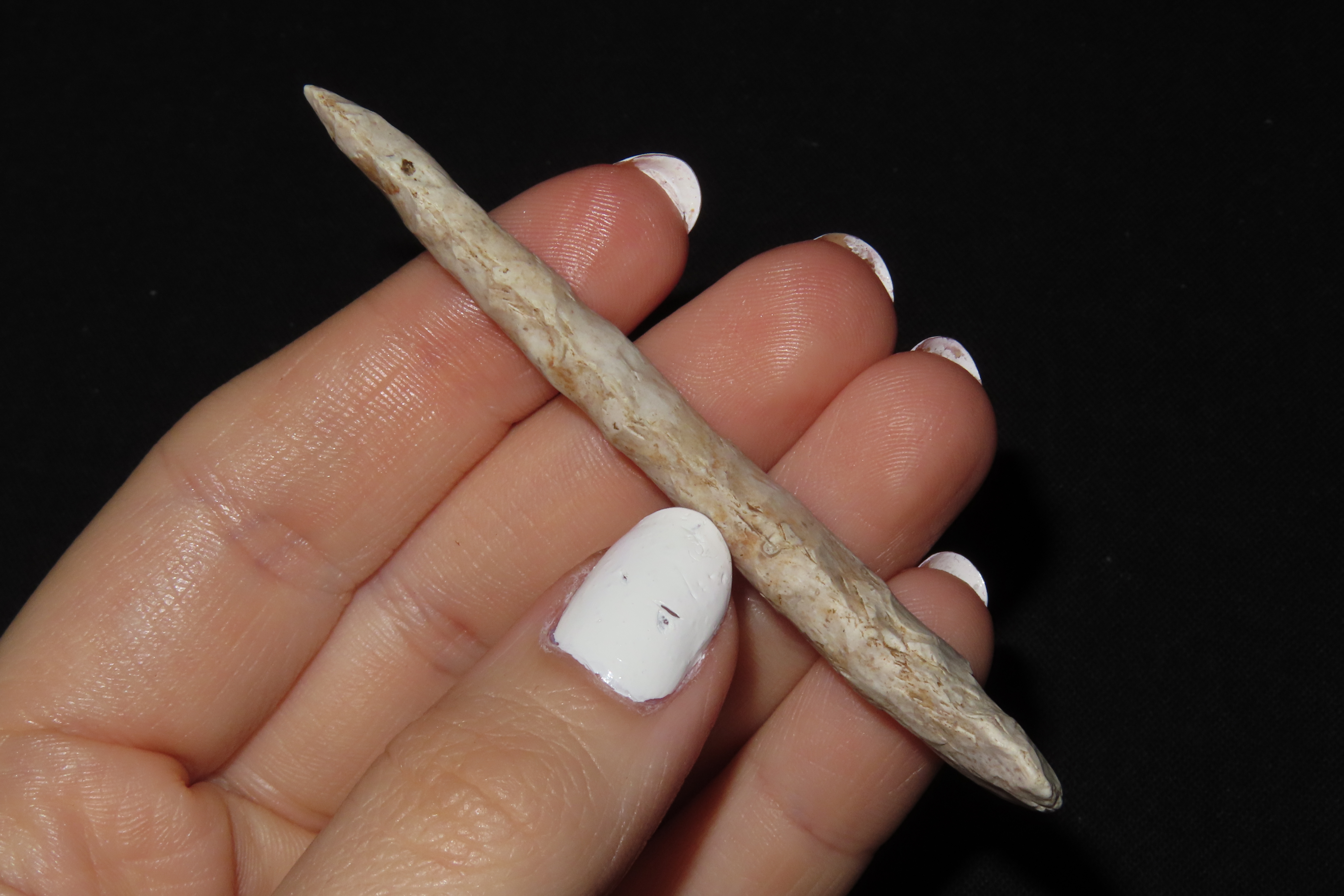 3 1/16" Drill, Motley COA, Boone Co., Missouri