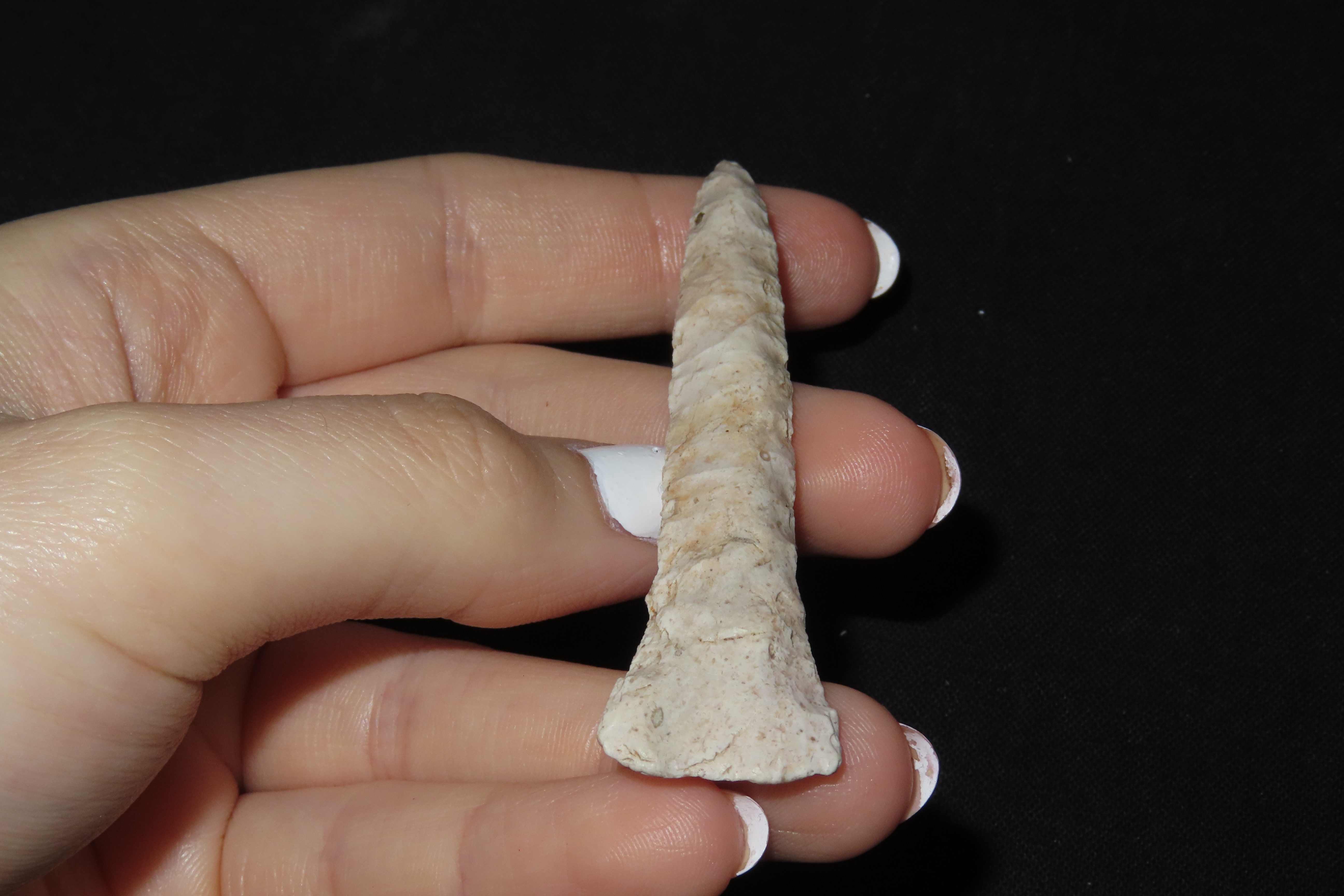 3 1/16" Drill, Motley COA, Boone Co., Missouri