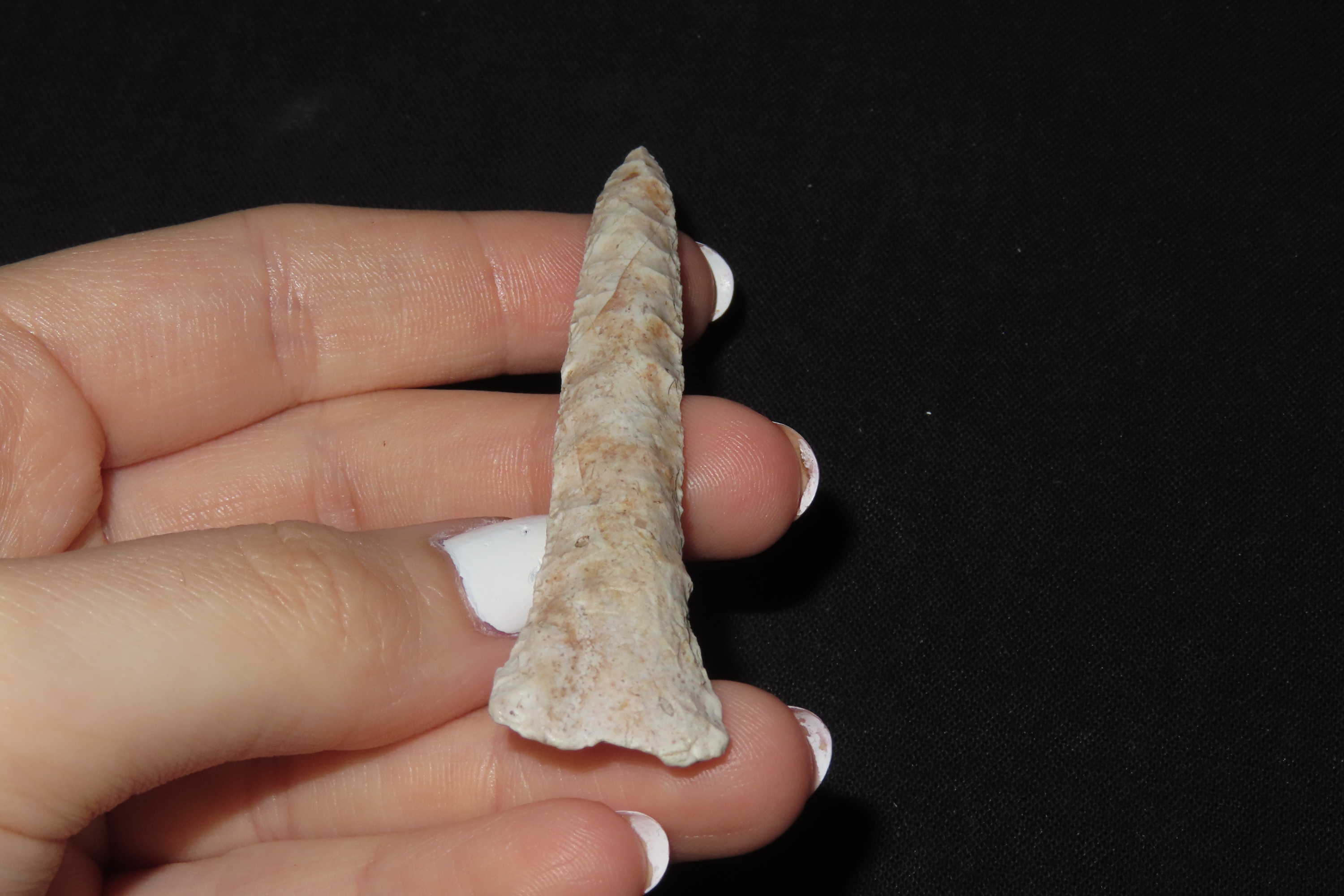 3 1/16" Drill, Motley COA, Boone Co., Missouri