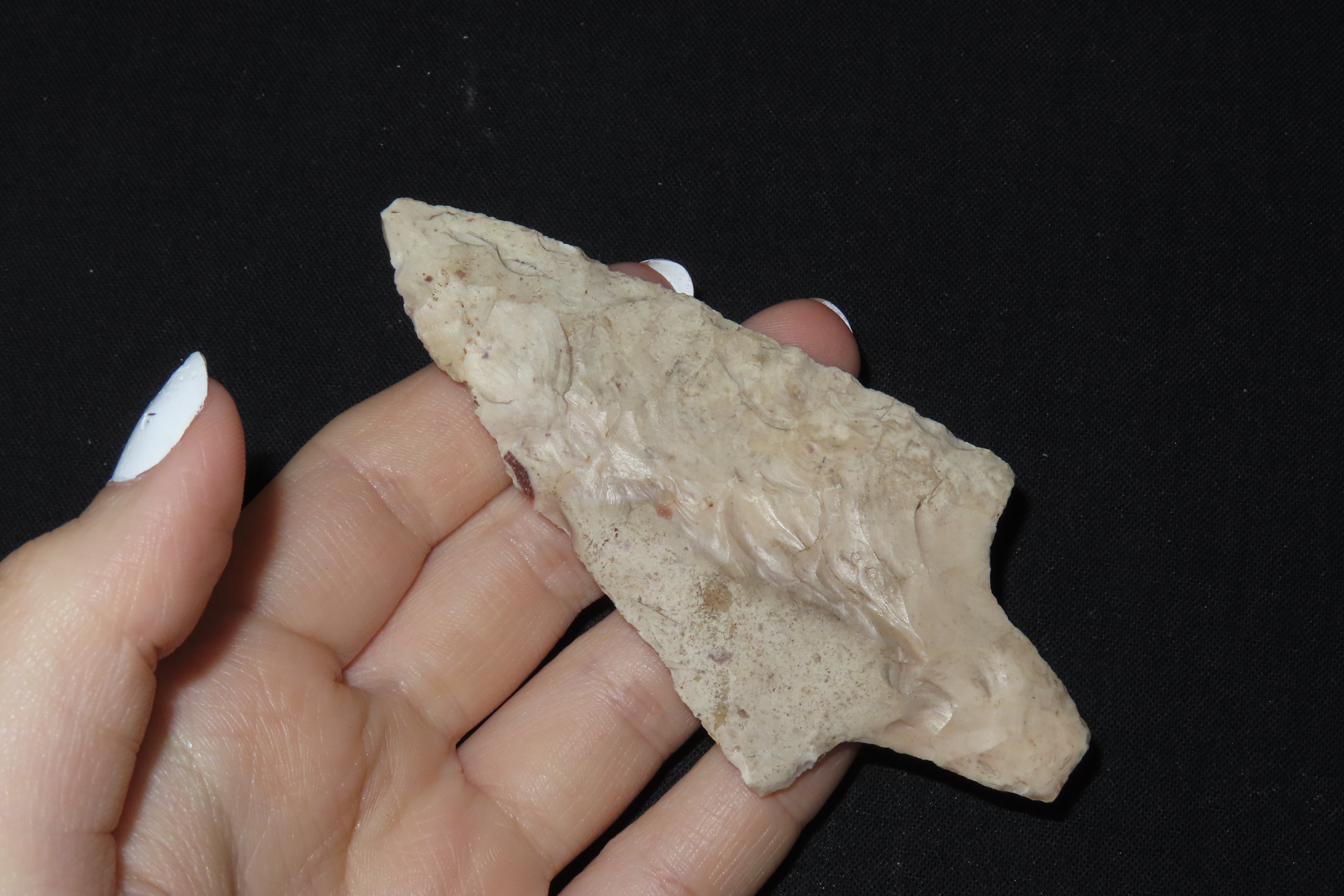 3 13/16" Dickson, Motley COA, Cooper Co., Missouri