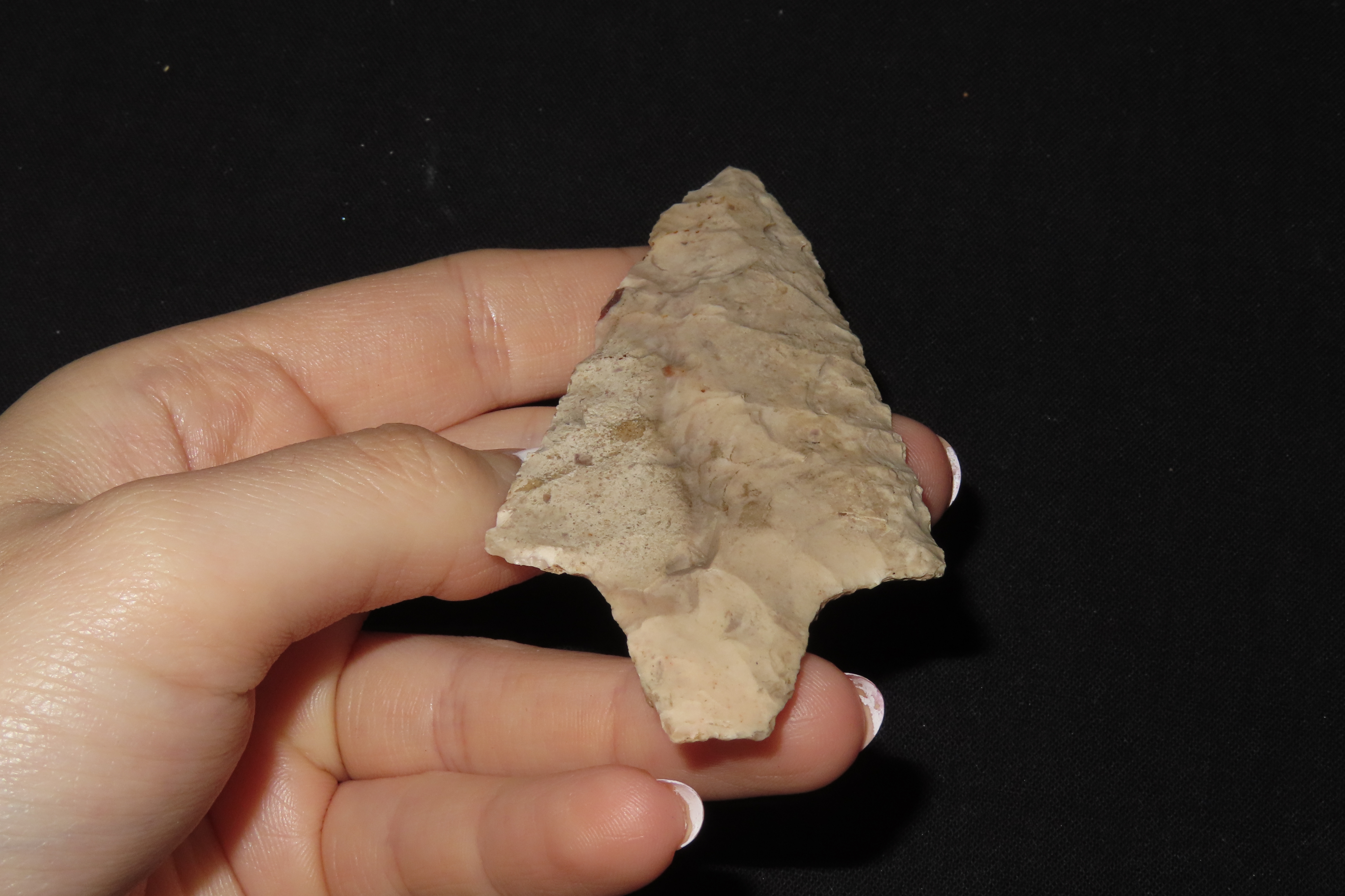 3 13/16" Dickson, Motley COA, Cooper Co., Missouri