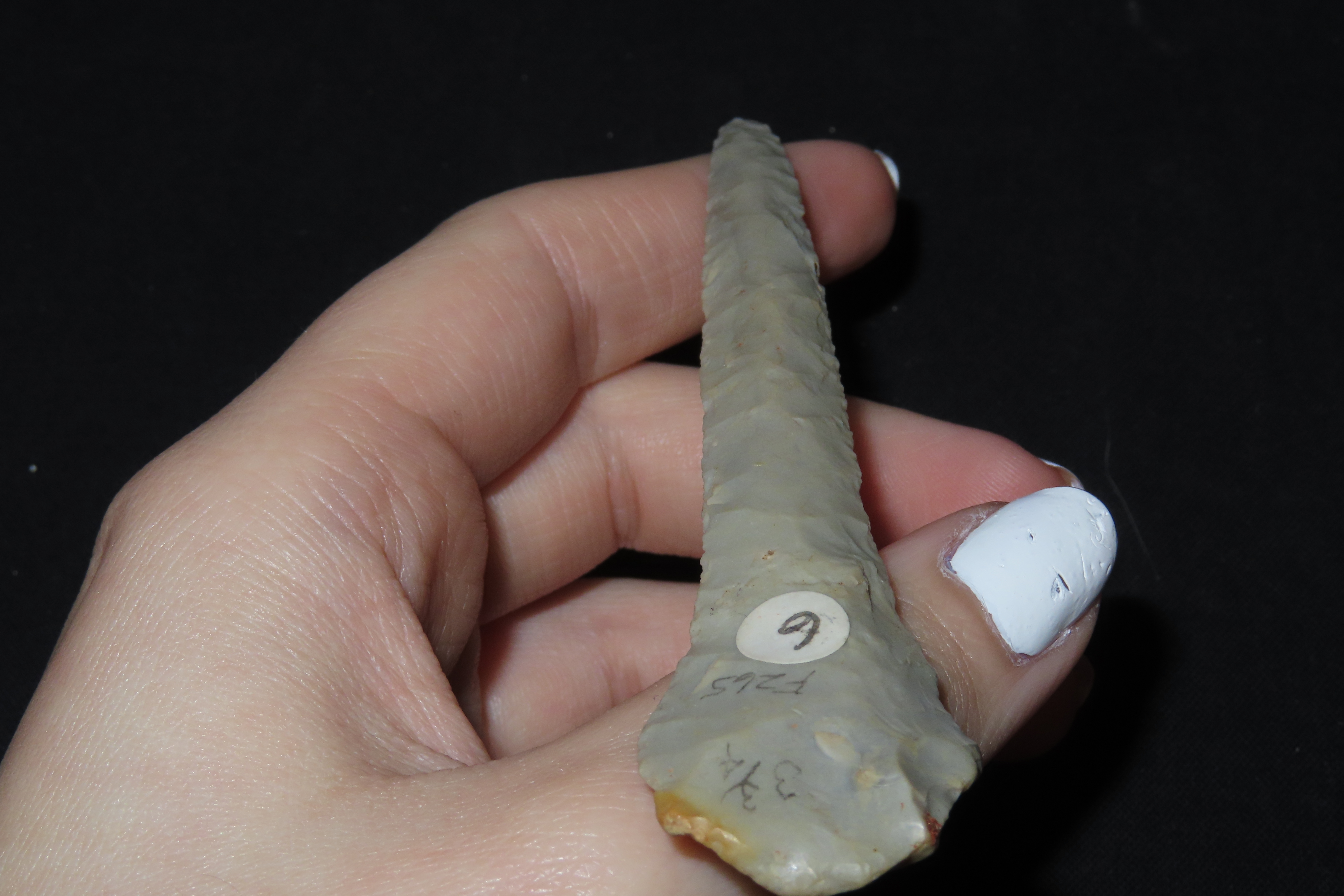3 13/16" Drill, Motley COA, Saline Co., Missouri