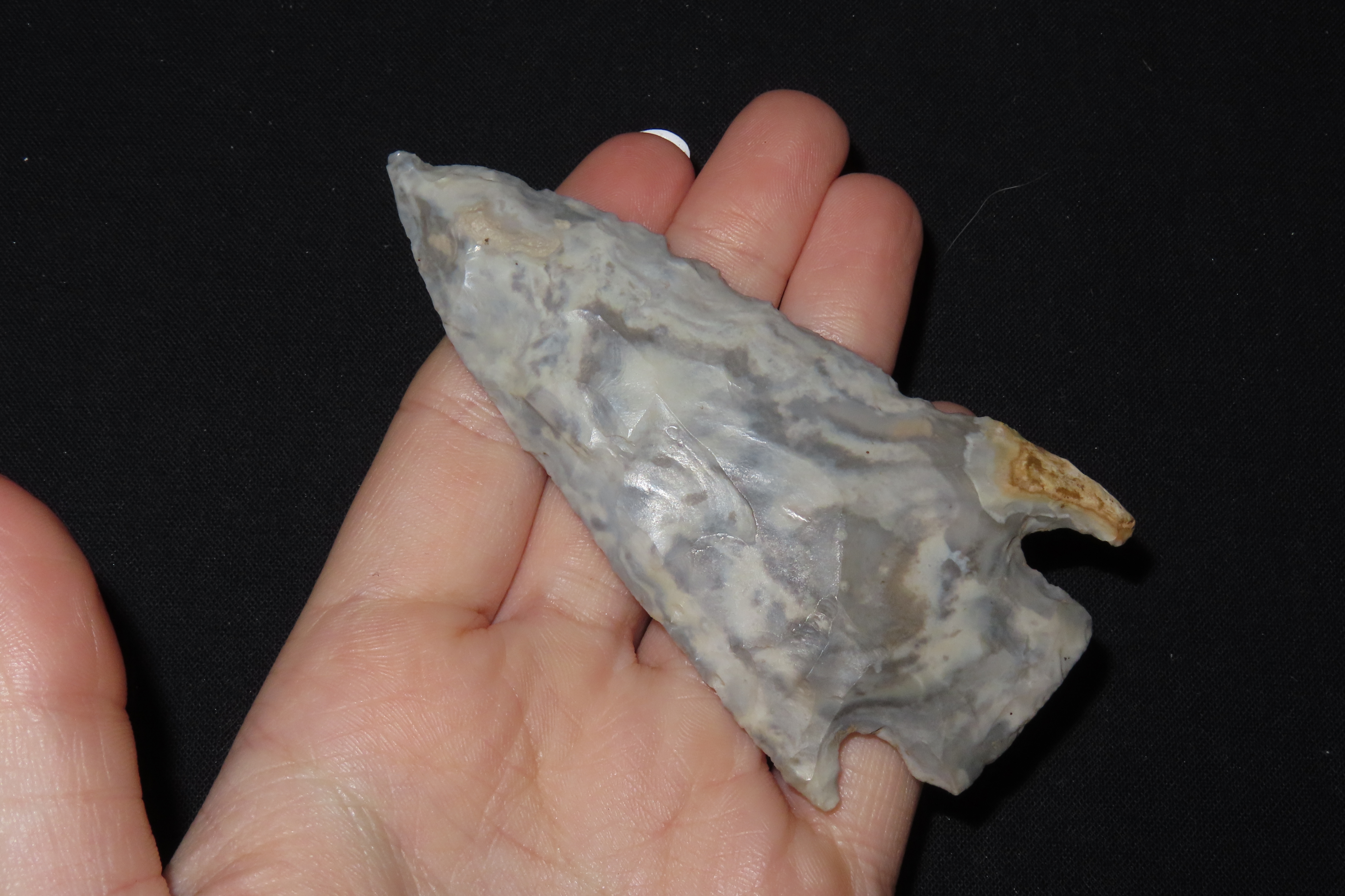 4 1/8" Smith Point, Motley COA, Mozarkite, Cooper Co., Missouri