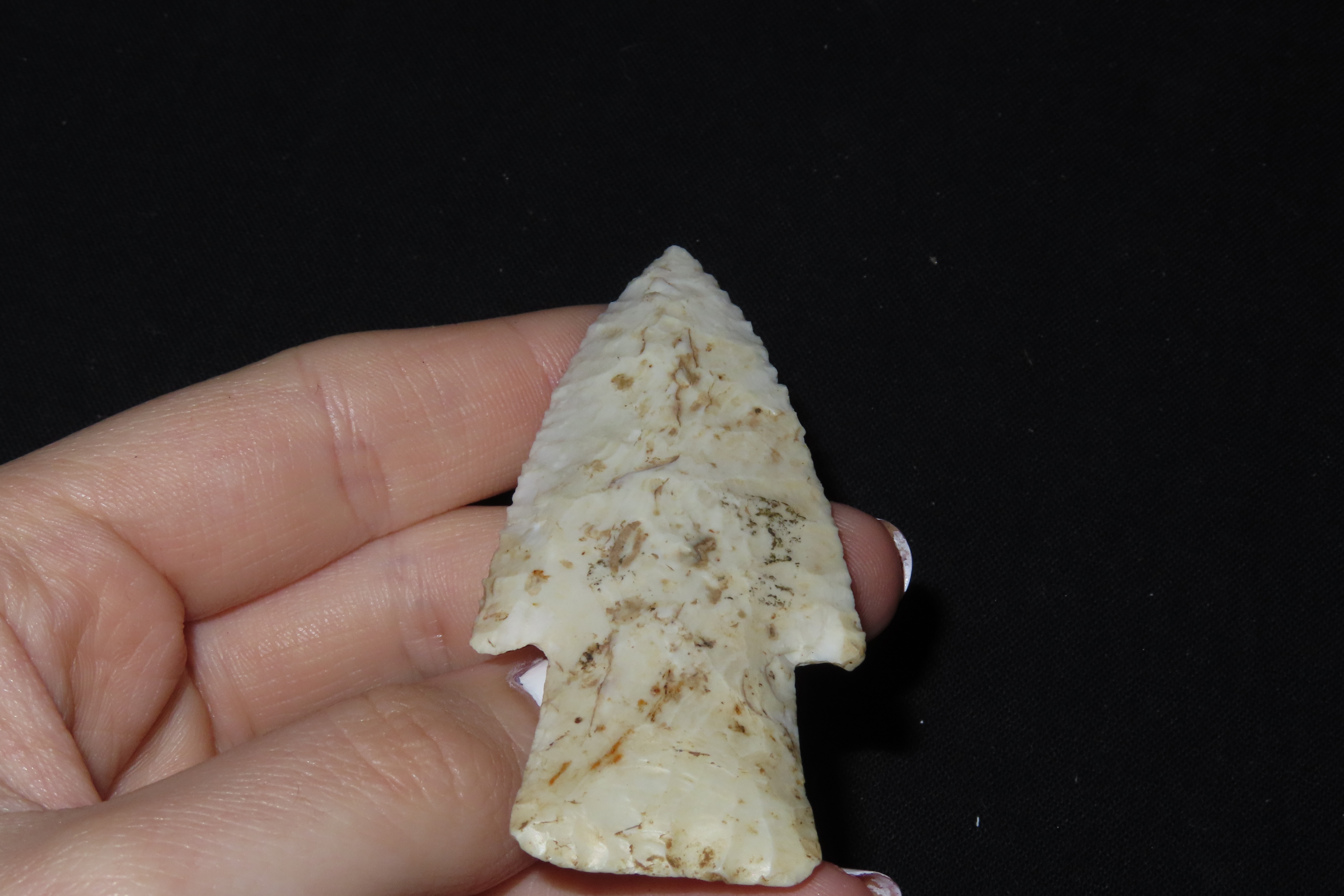 2 13/16" Hardin, Motley COA, Pike Co., Missouri