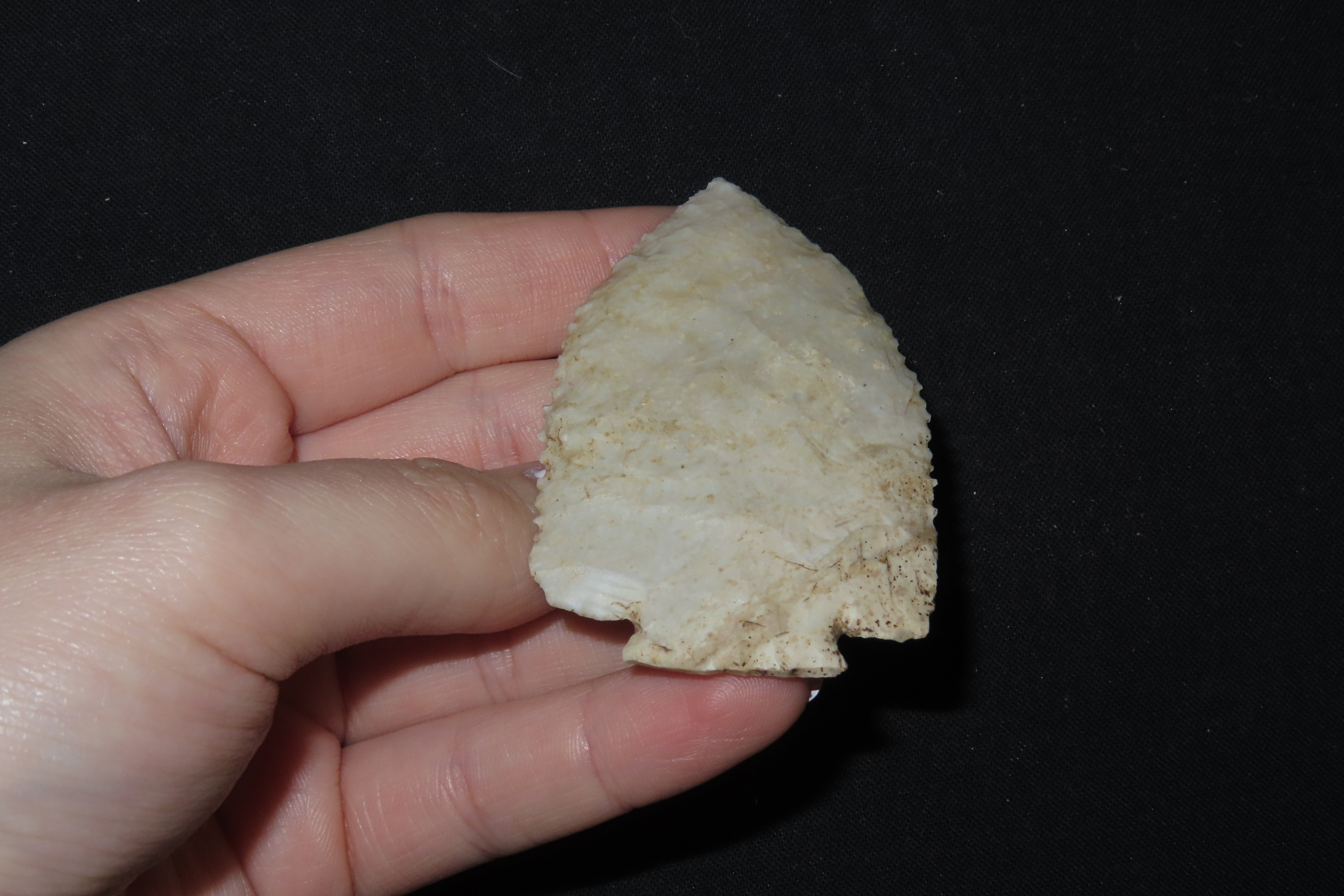 2 5/8" Decatur Point, Motley COA, Southeast Missouri