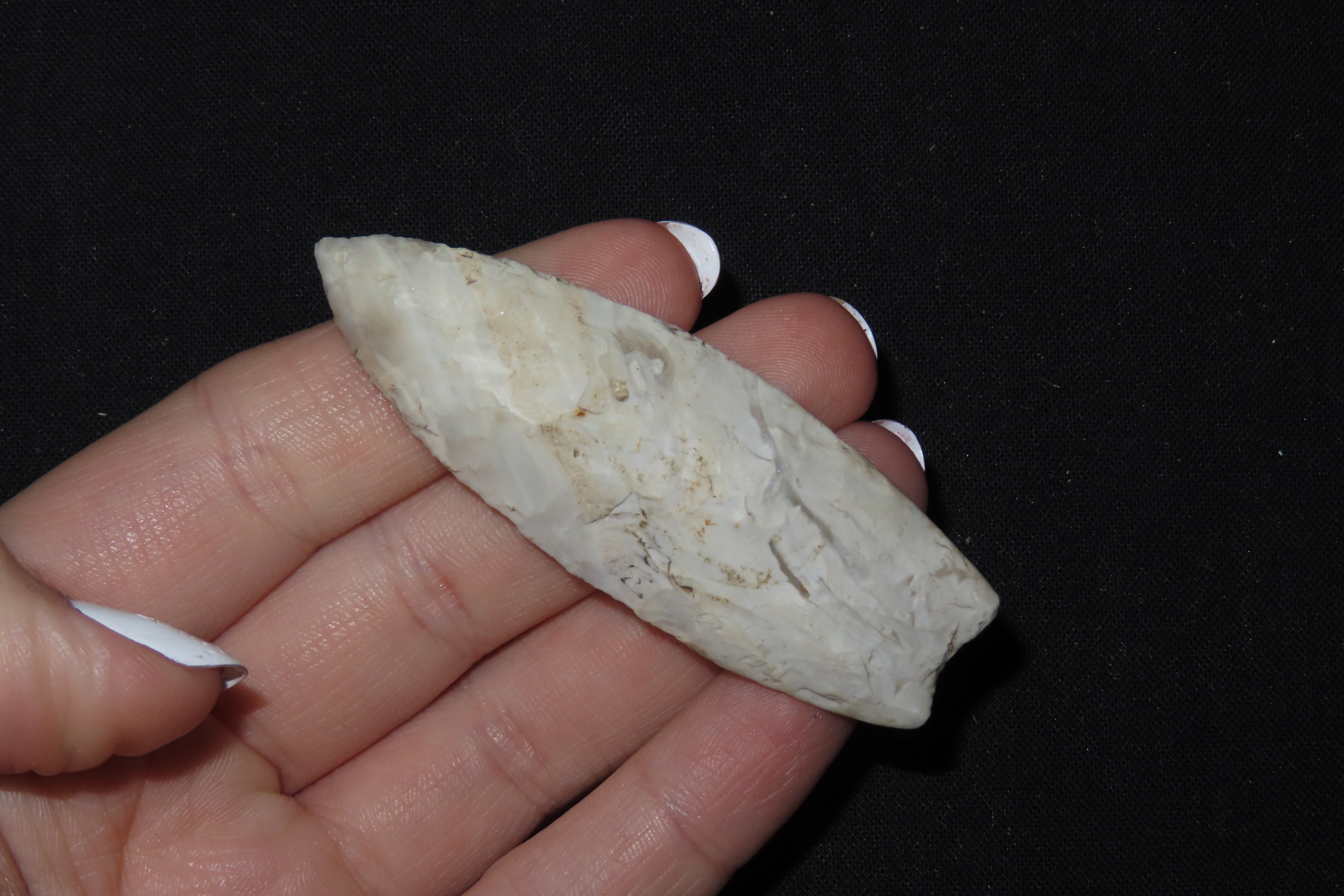 2 5/8" Angostura, Motley COA, Mason Co., Illinois