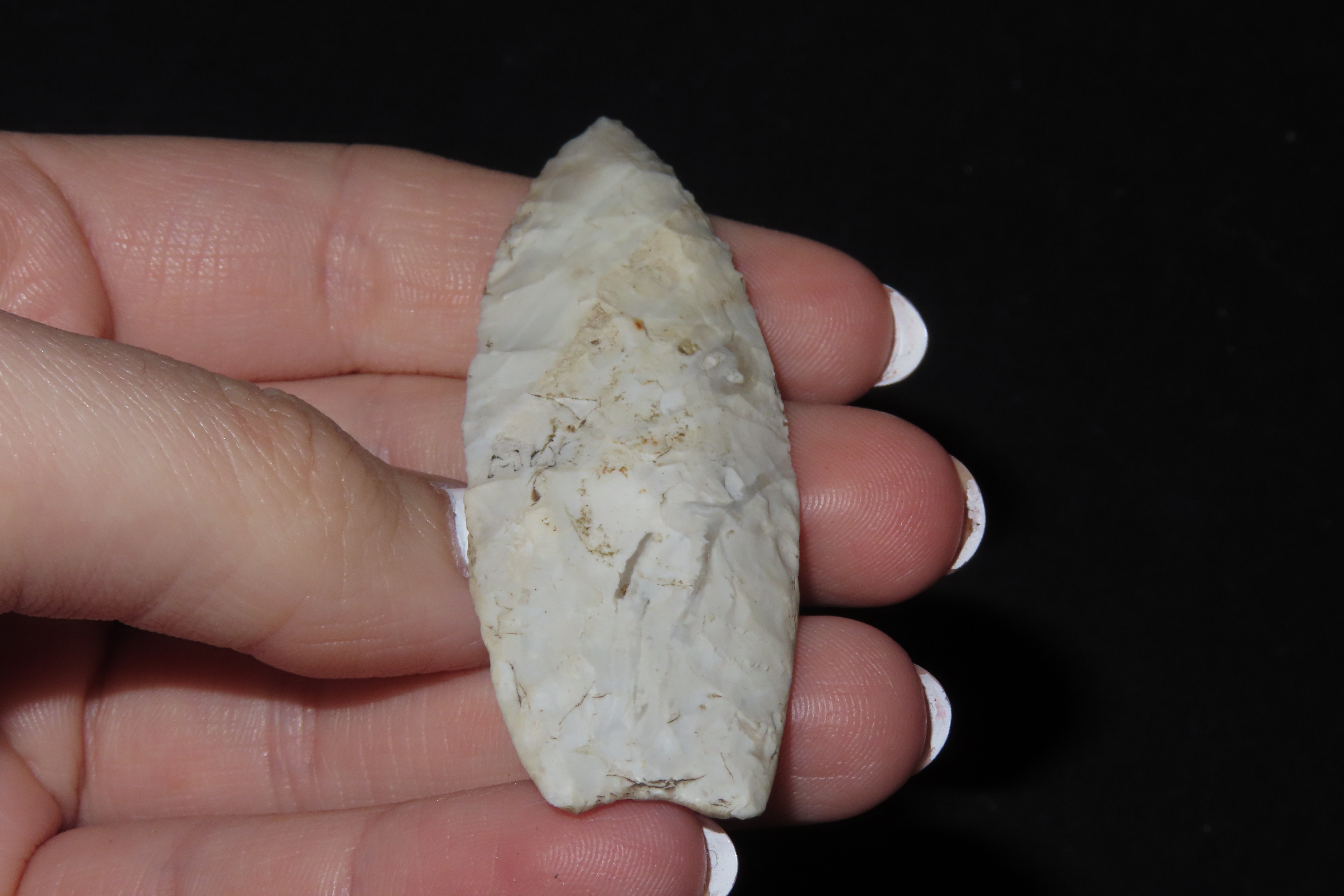 2 5/8" Angostura, Motley COA, Mason Co., Illinois