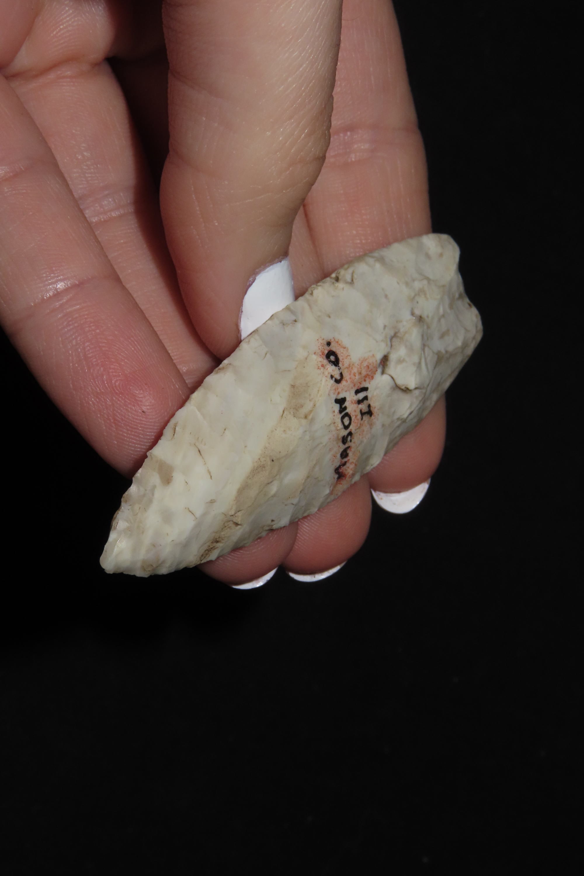 2 5/8" Angostura, Motley COA, Mason Co., Illinois