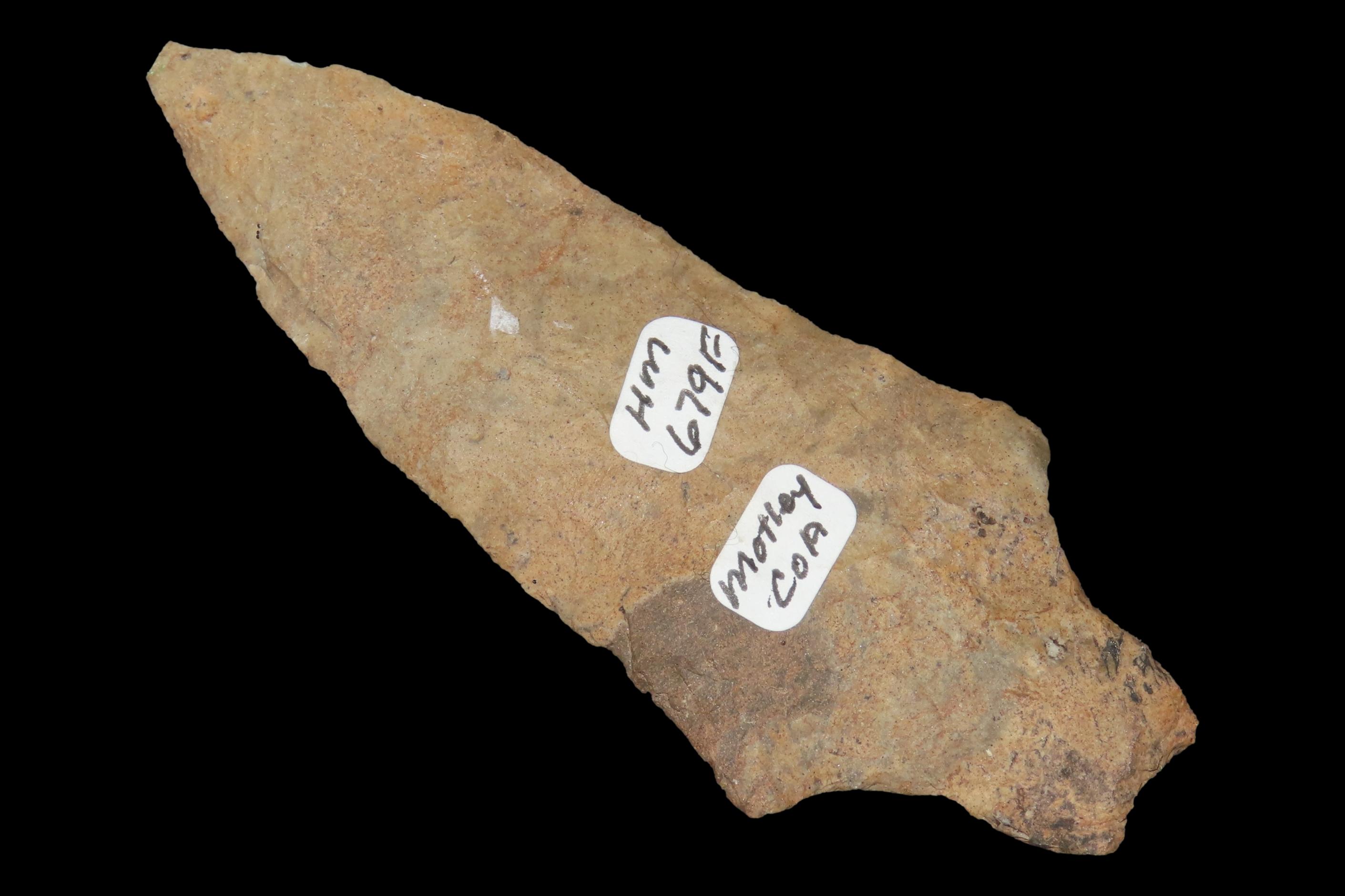 3 7/8" Dickson Point, Motley COA, Mayes Co., Oklahoma, Ex. Herb Mangold