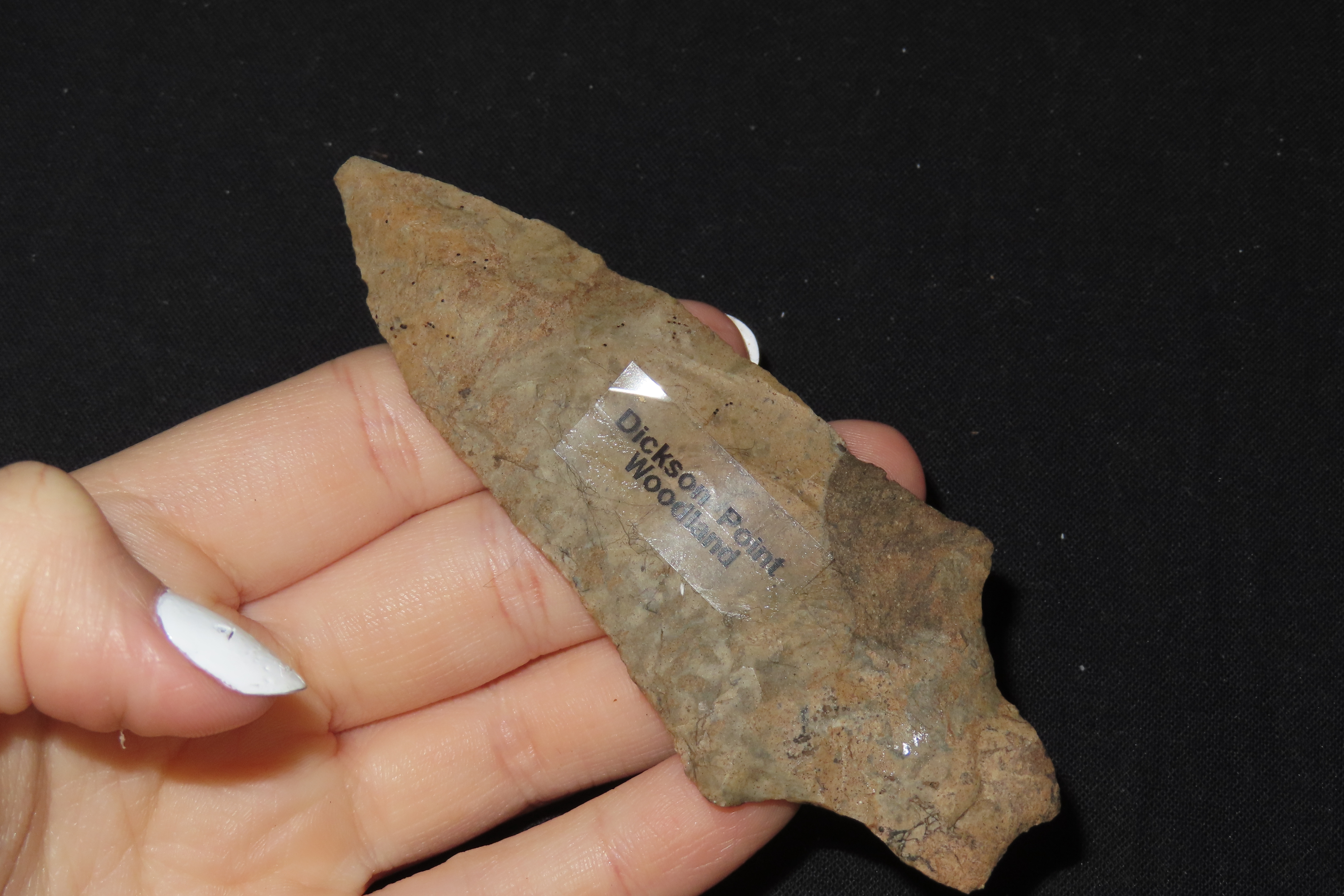 3 7/8" Dickson Point, Motley COA, Mayes Co., Oklahoma, Ex. Herb Mangold