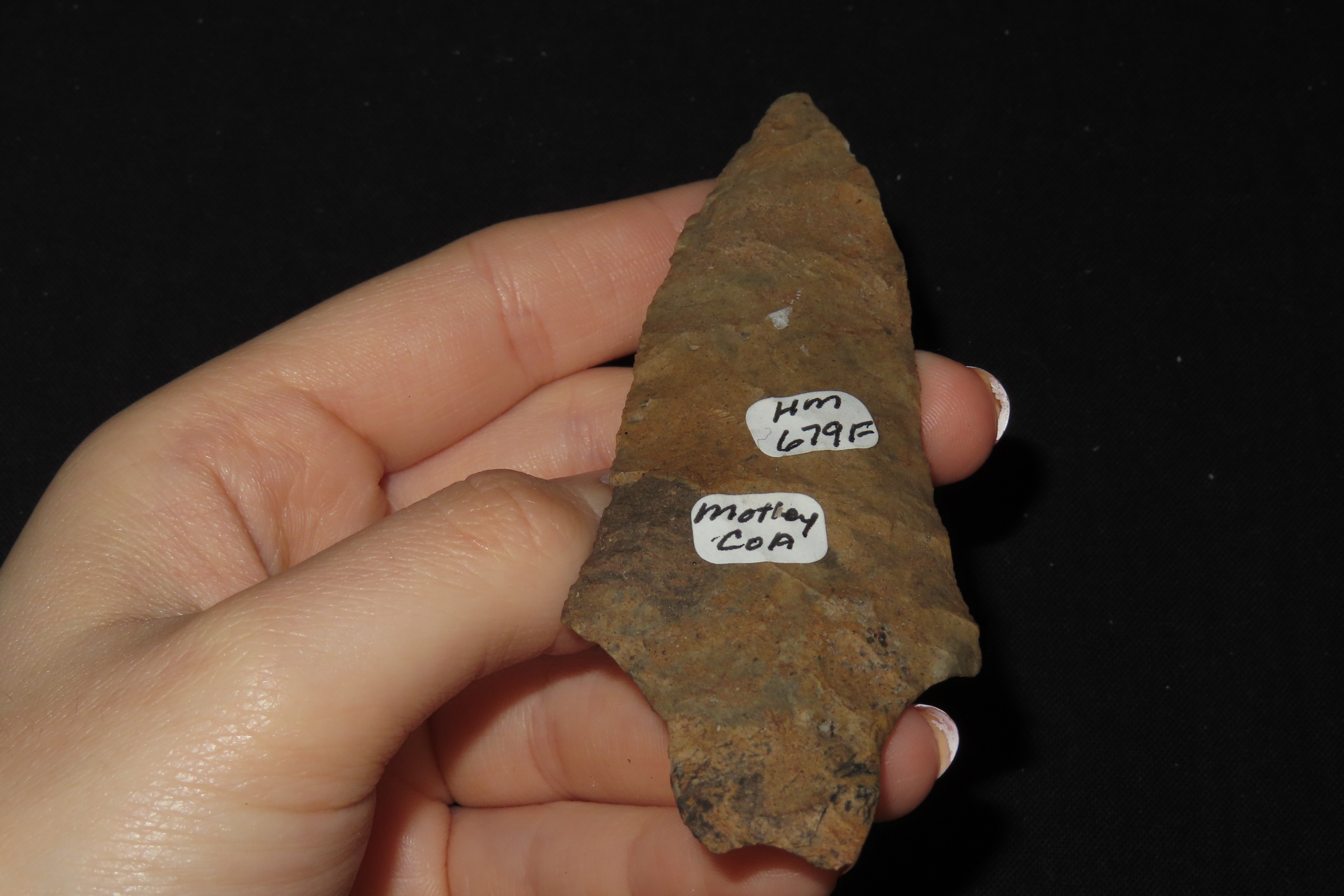 3 7/8" Dickson Point, Motley COA, Mayes Co., Oklahoma, Ex. Herb Mangold