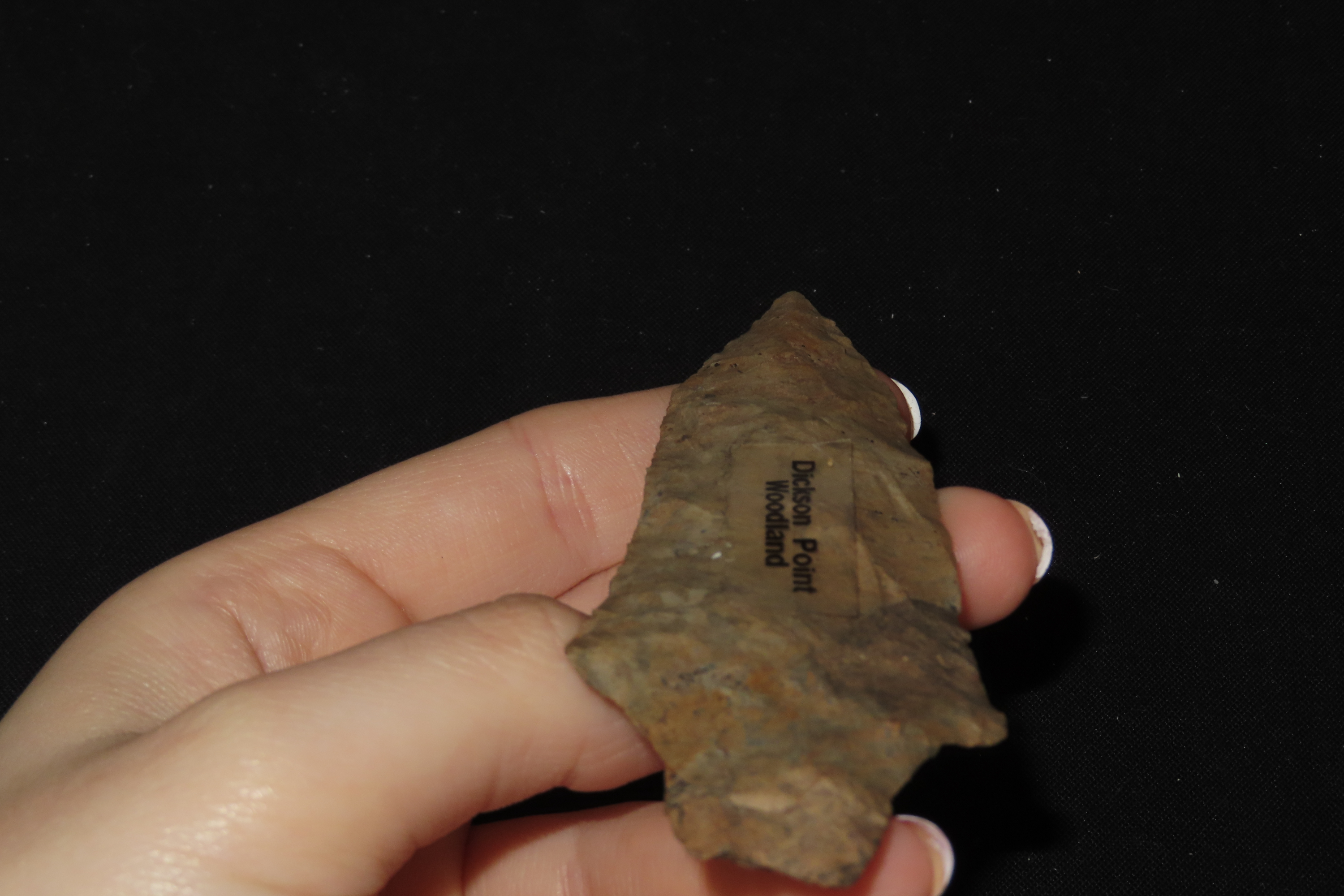 3 7/8" Dickson Point, Motley COA, Mayes Co., Oklahoma, Ex. Herb Mangold