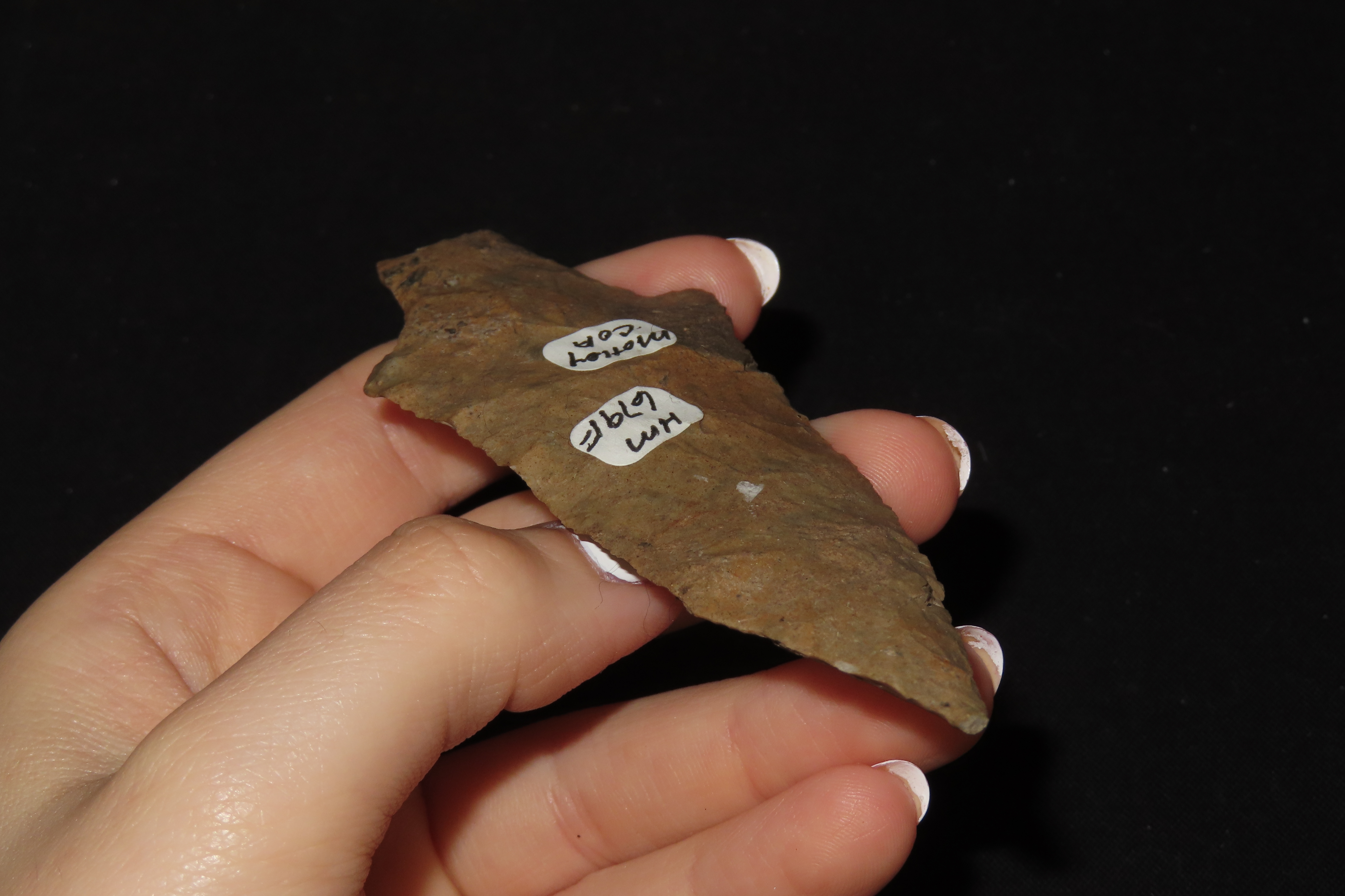 3 7/8" Dickson Point, Motley COA, Mayes Co., Oklahoma, Ex. Herb Mangold